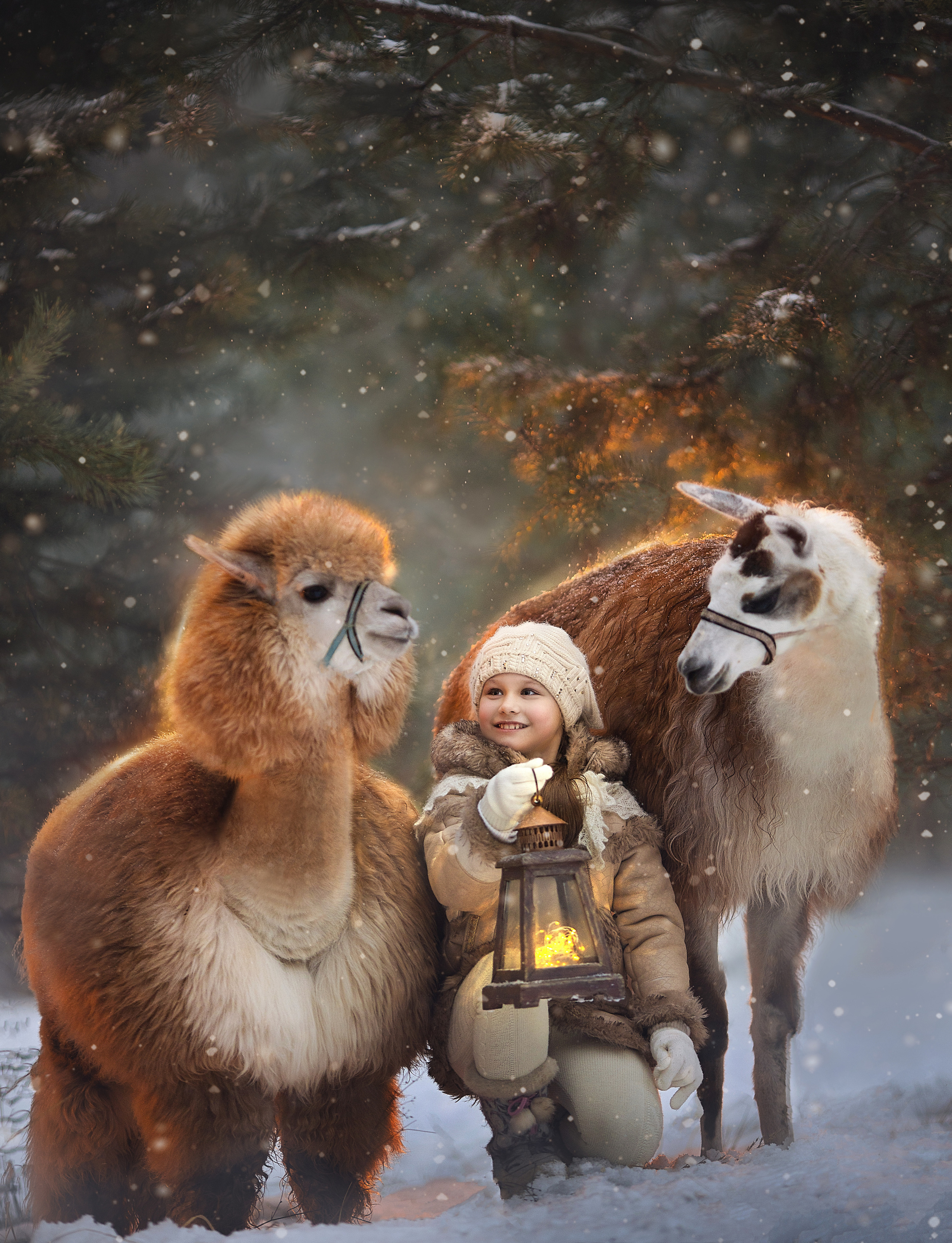 Фотосессия с альпаками. Фотограф Лия Милк | Москва, Подмосковье