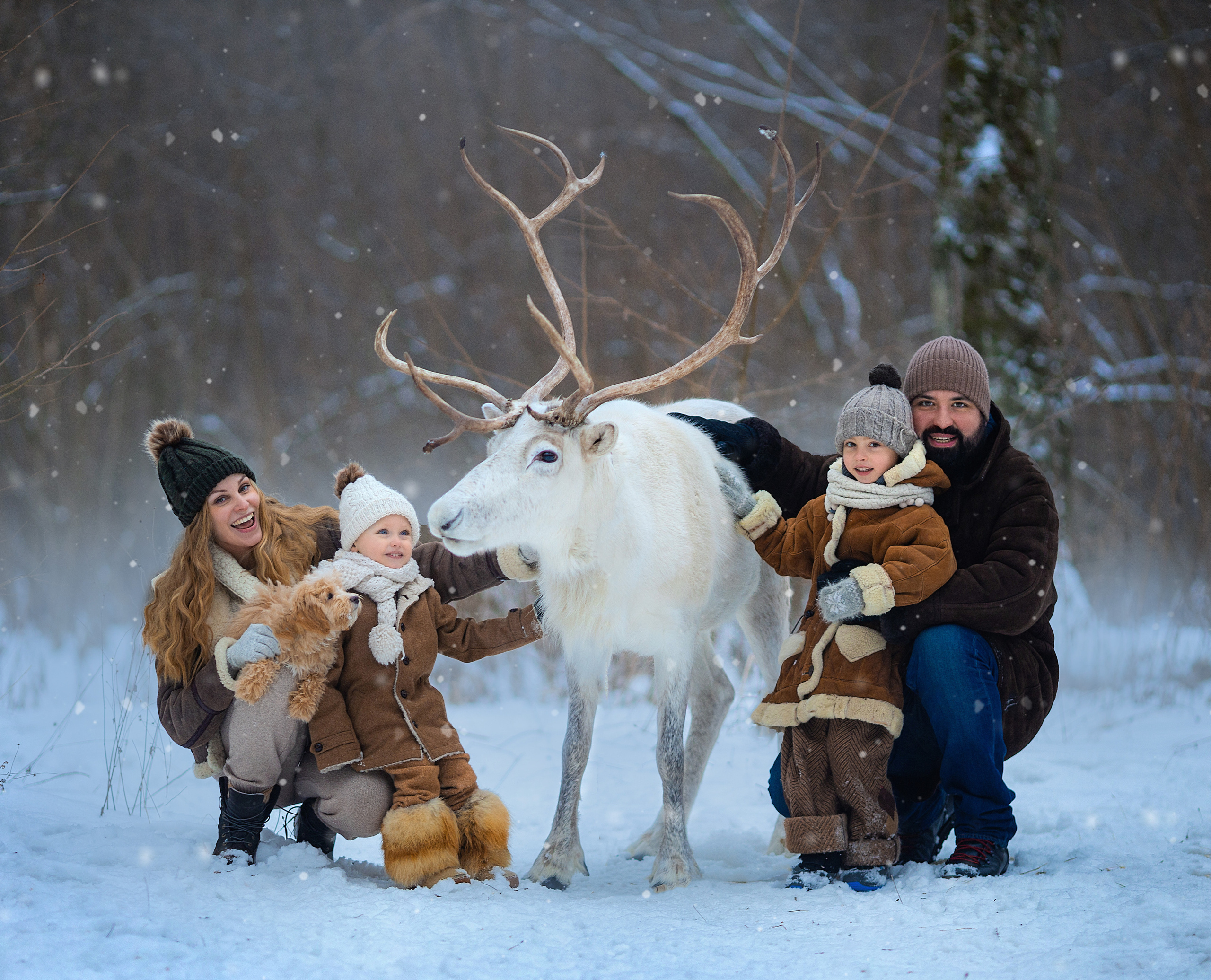 Фотосессии с оленями. Фотограф Лия Милк | Москва, Подмосковье