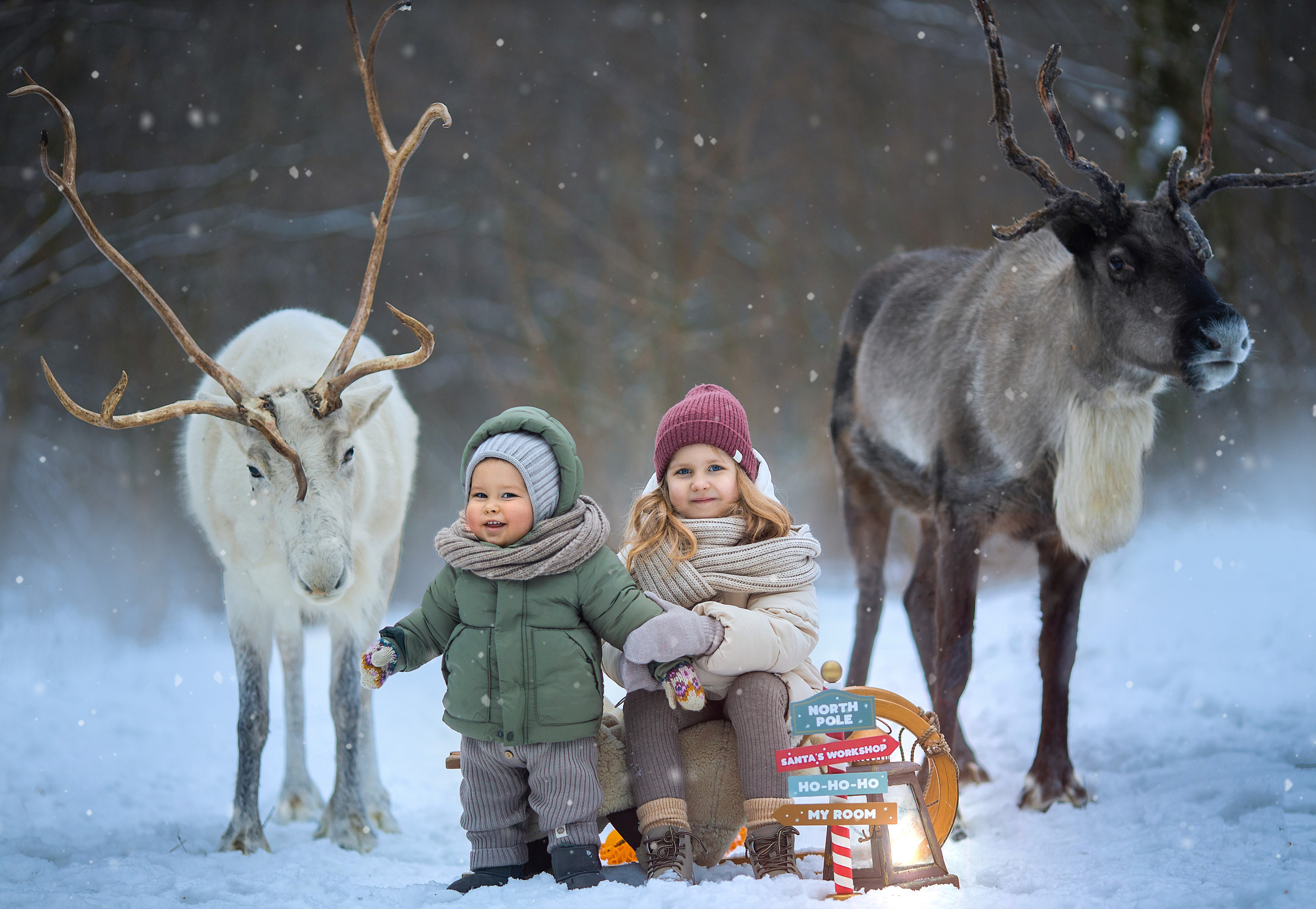 фотосессия с оленями, фотосессия с животными