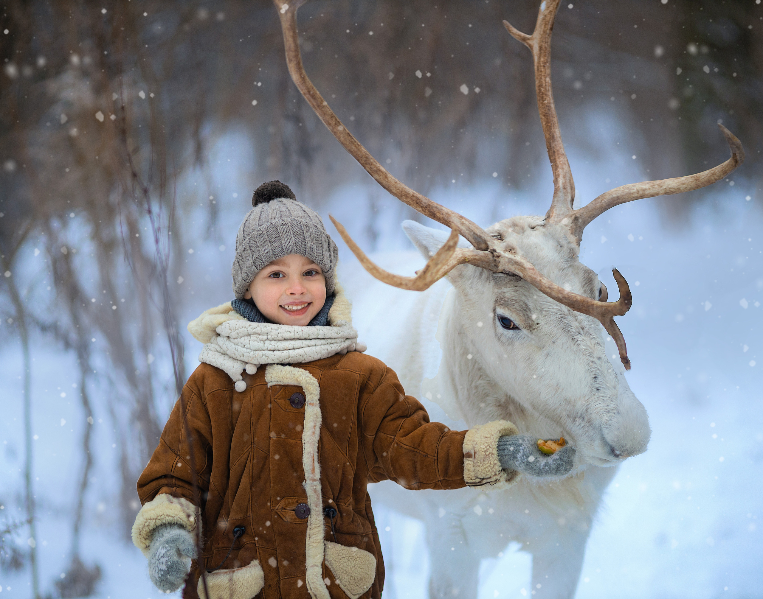 фотосессия с оленями, фотосессия с животными