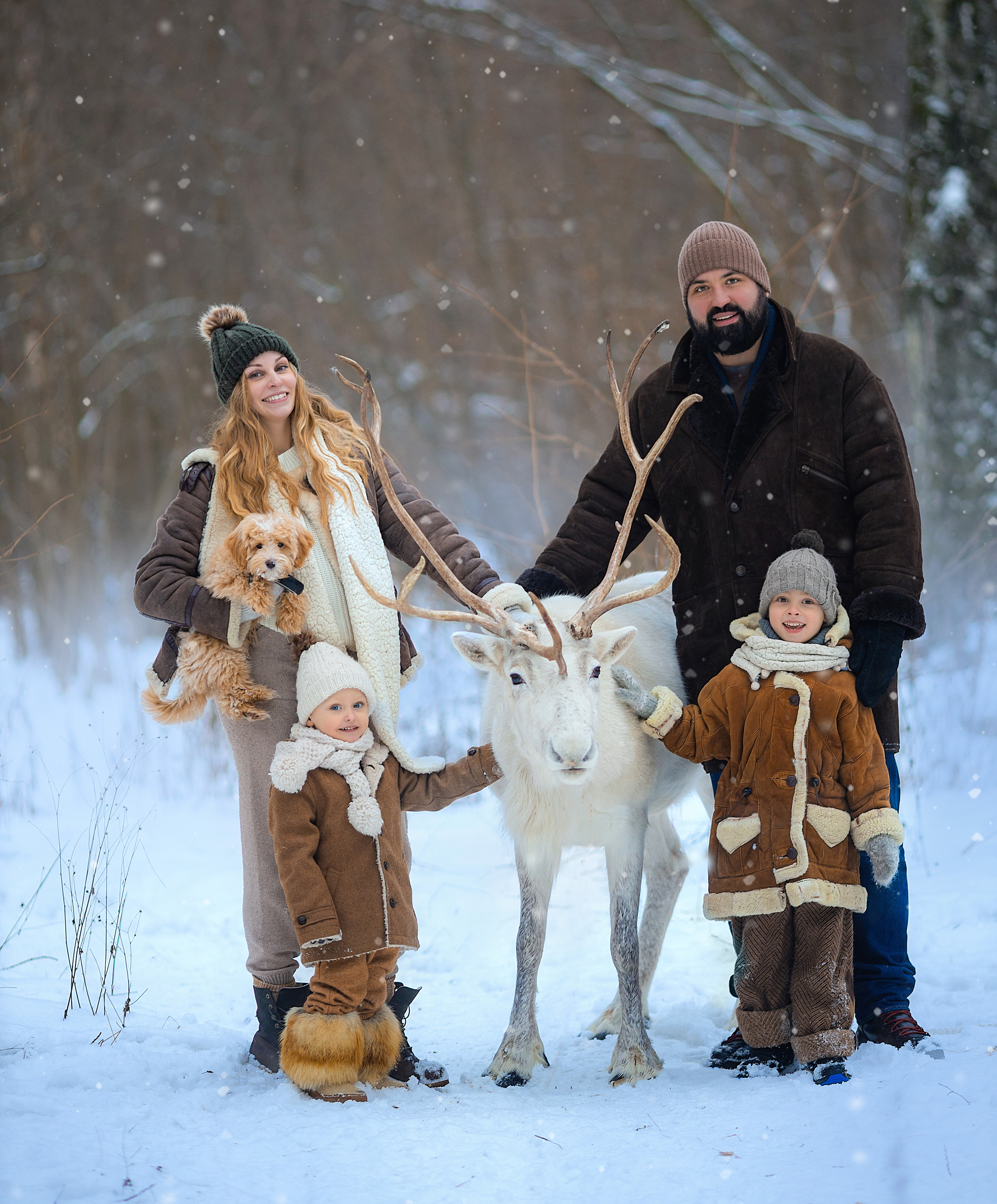 фотосессия с оленями, фотосессия с животными