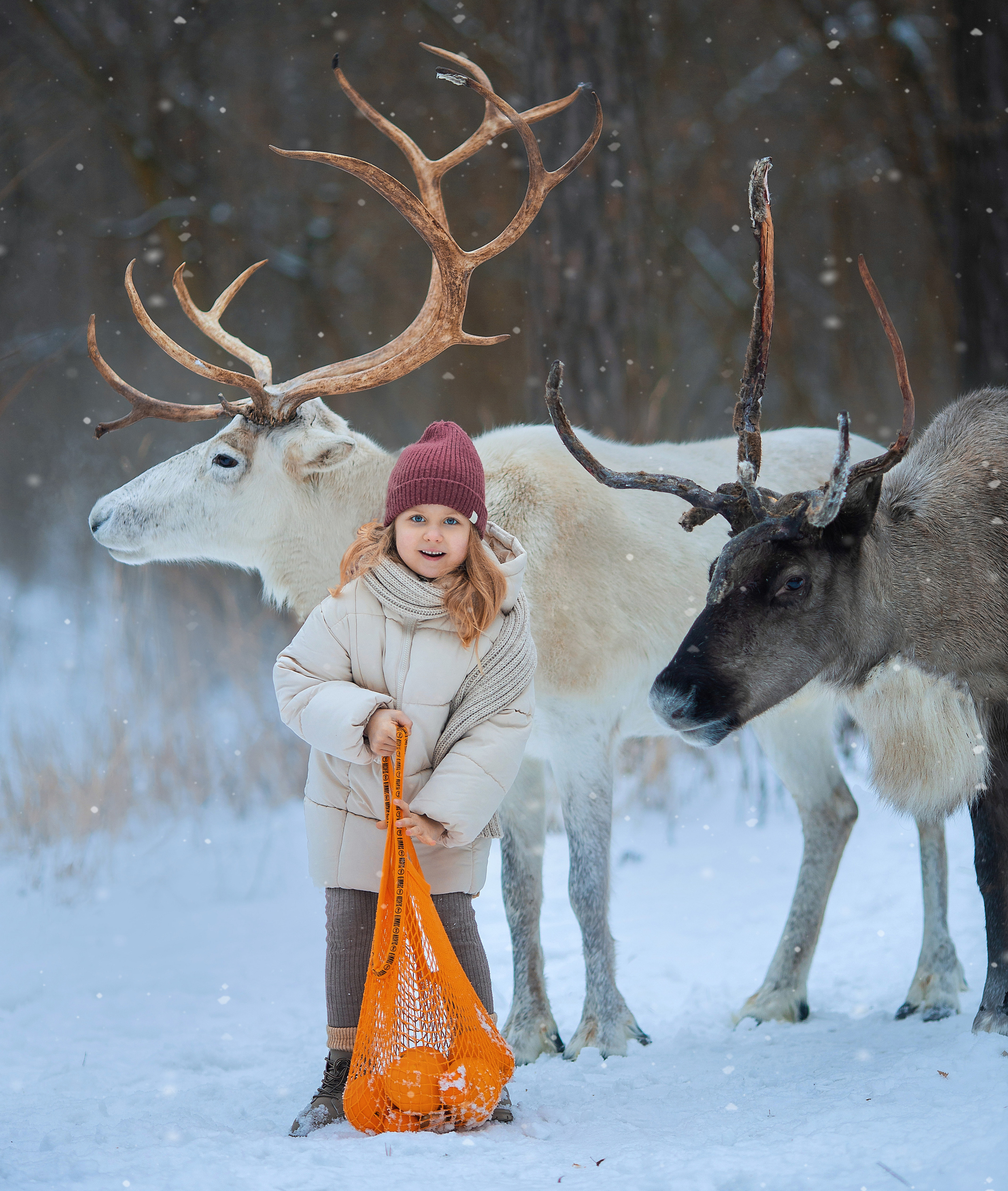 фотосессия с оленями, фотосессия с животными