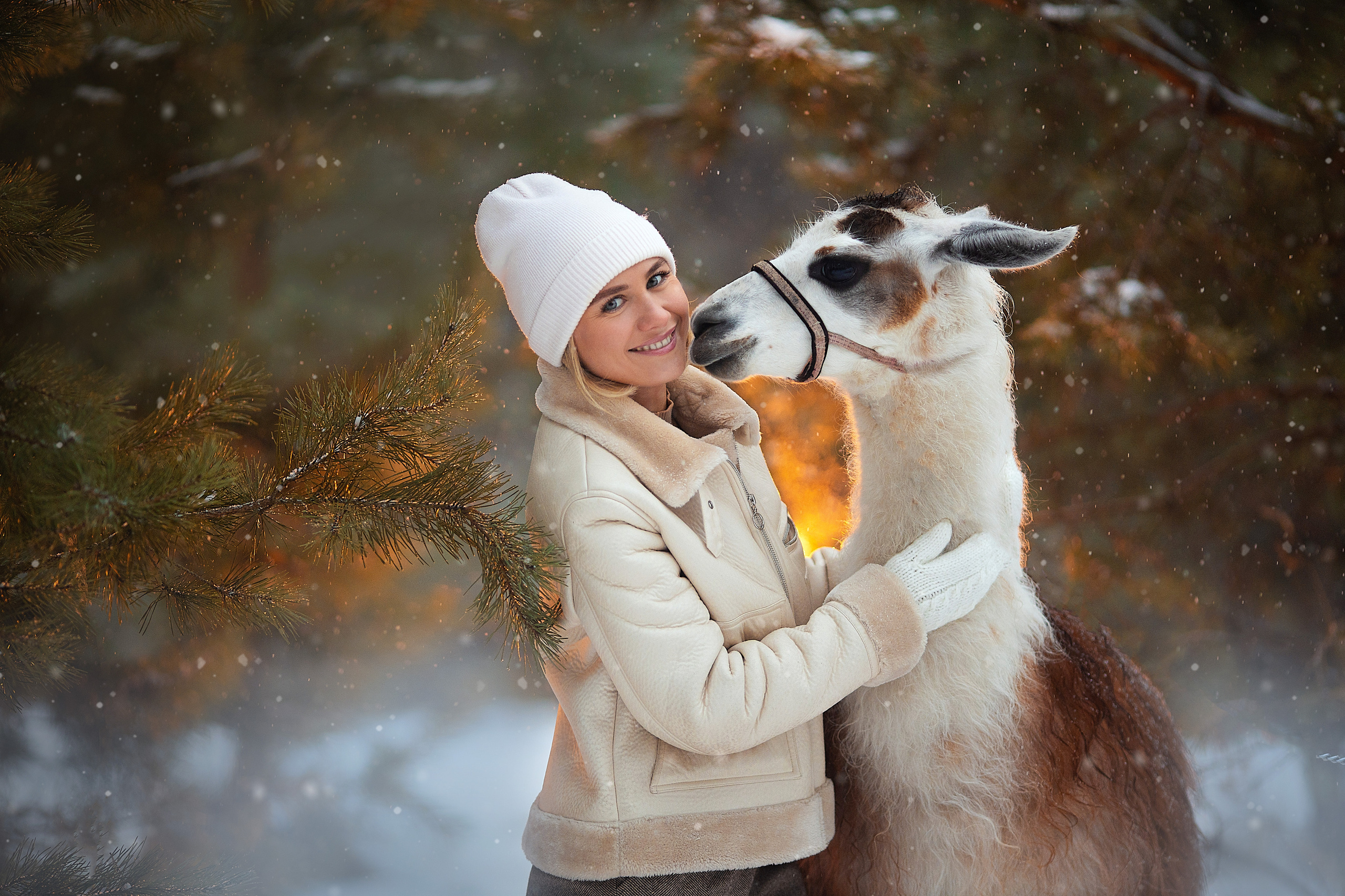Фотосессия с альпаками. Фотограф Лия Милк | Москва, Подмосковье