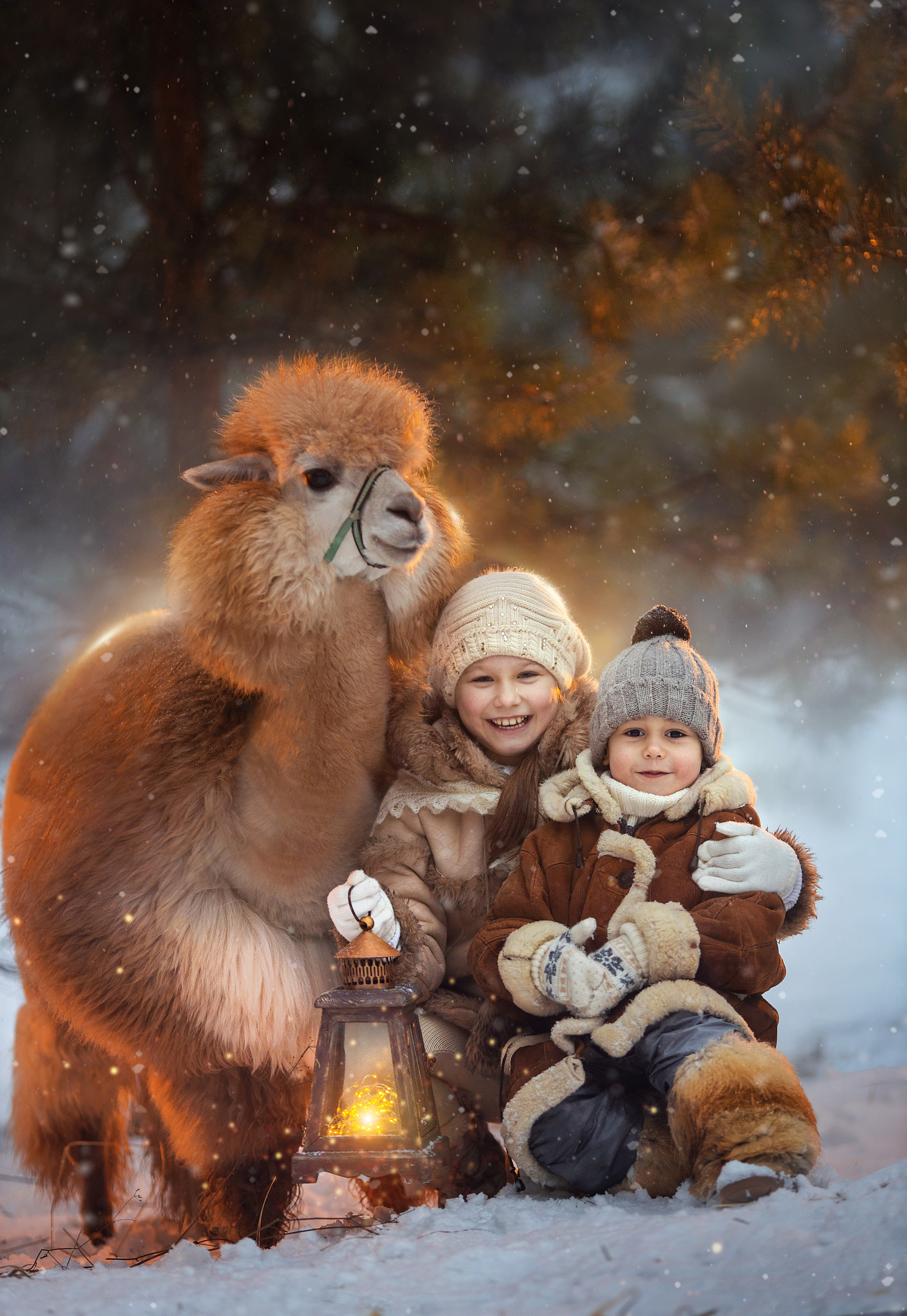Фотосессия с альпаками. Фотограф Лия Милк | Москва, Подмосковье