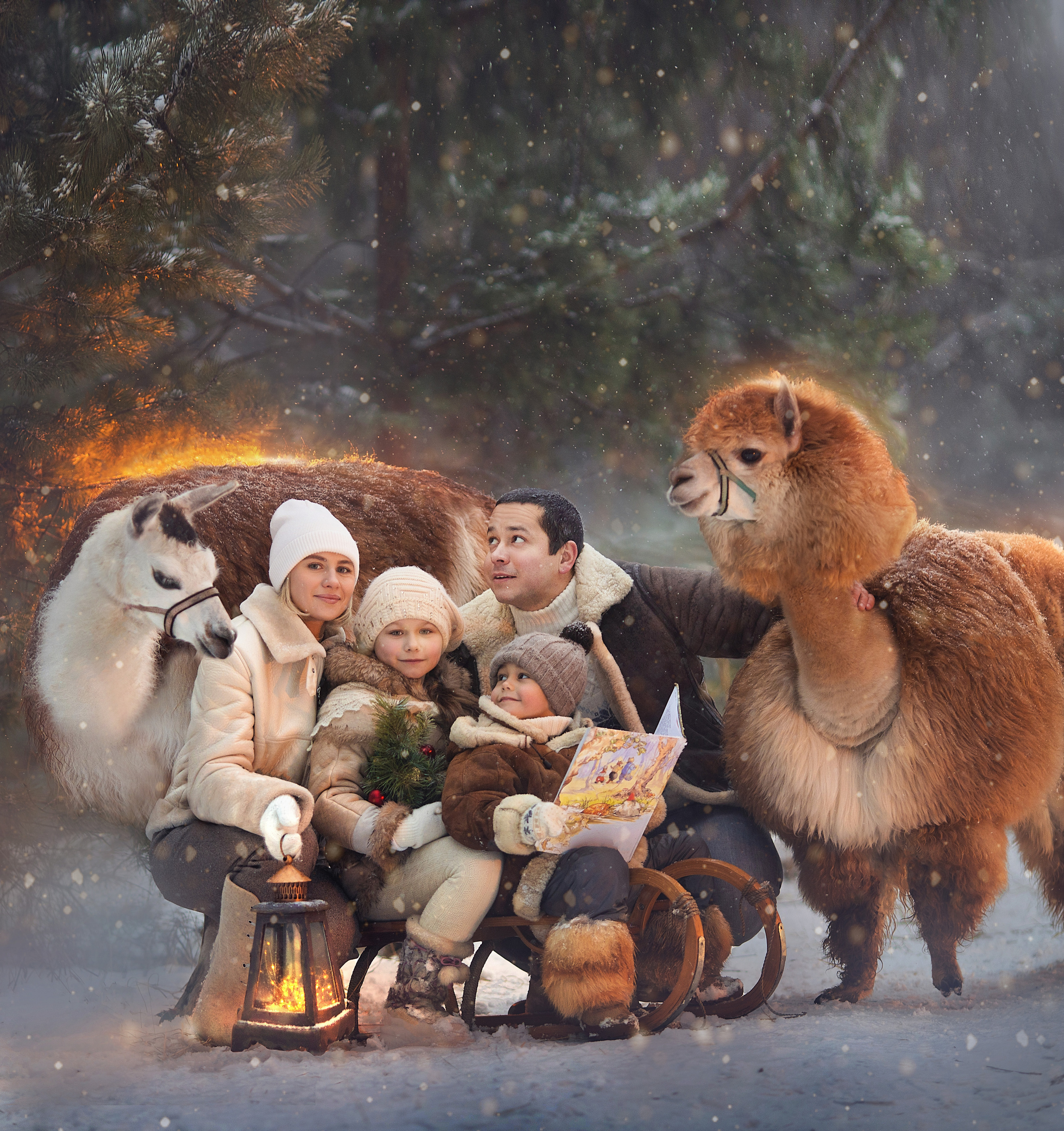 Фотосессия с альпаками. Фотограф Лия Милк | Москва, Подмосковье