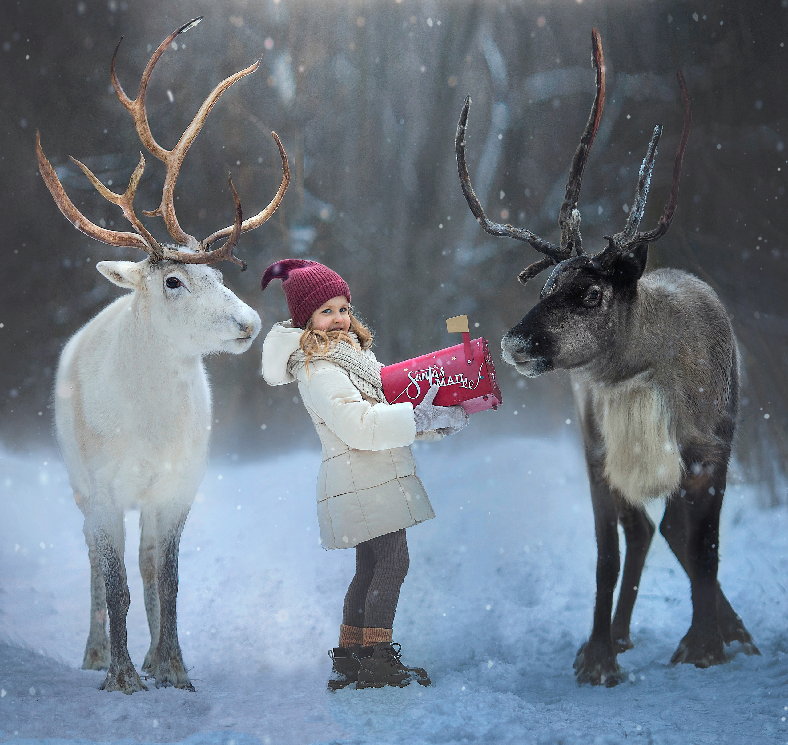 фотосессия с оленями, фотосессия с животными