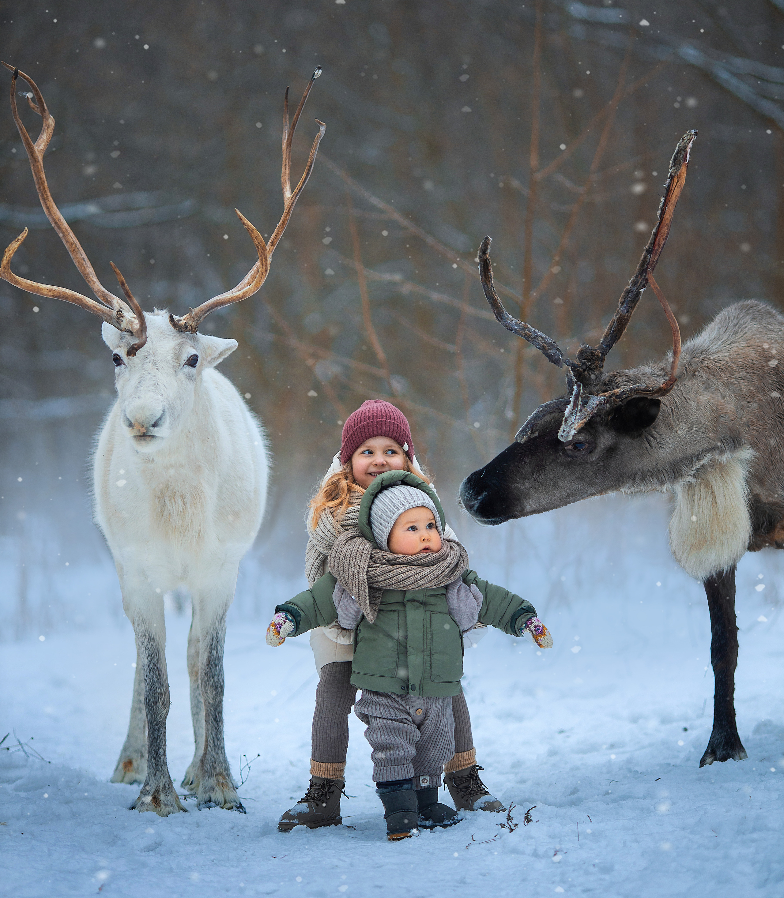 фотосессия с оленями, фотосессия с животными