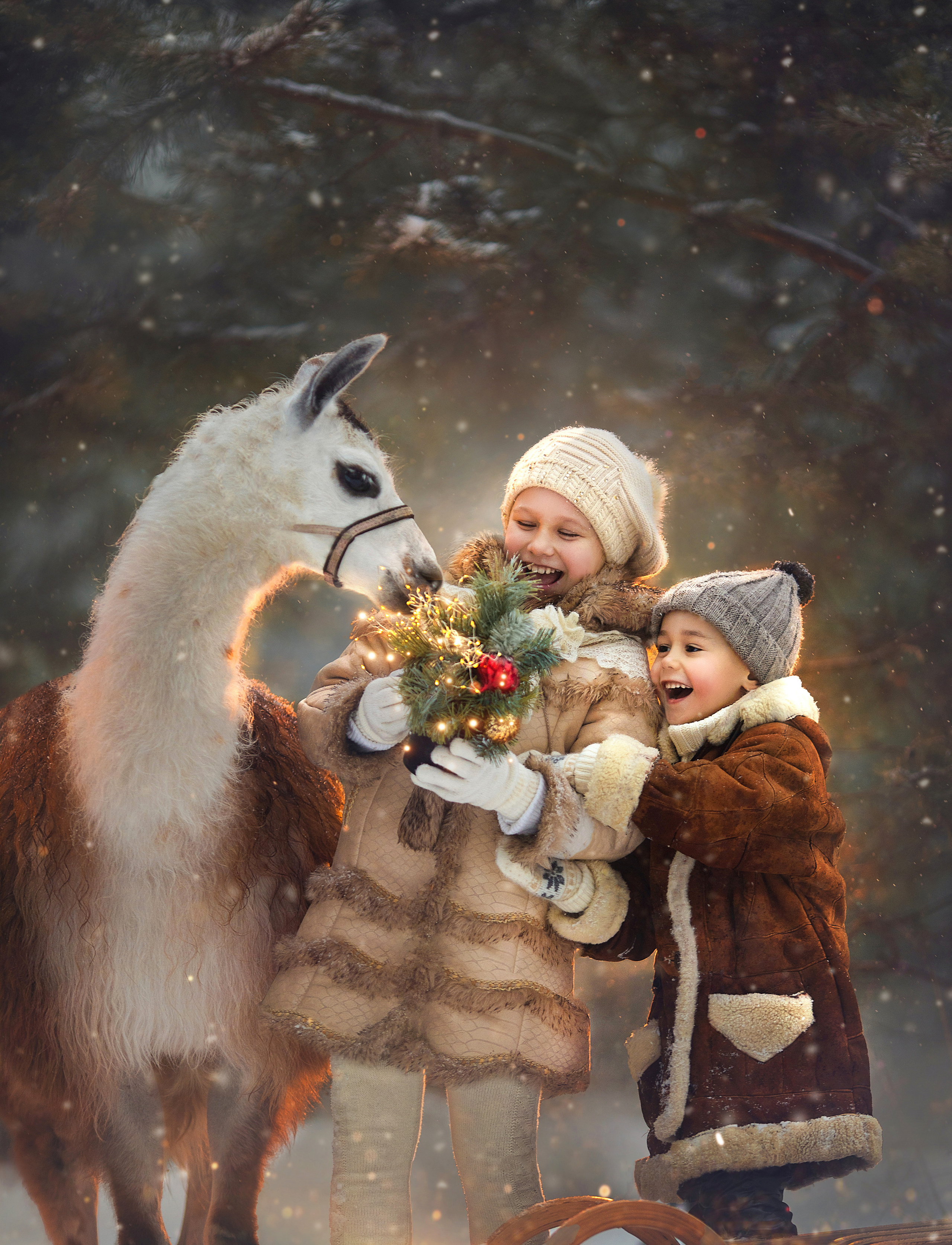 Фотосессия с альпаками. Фотограф Лия Милк | Москва, Подмосковье