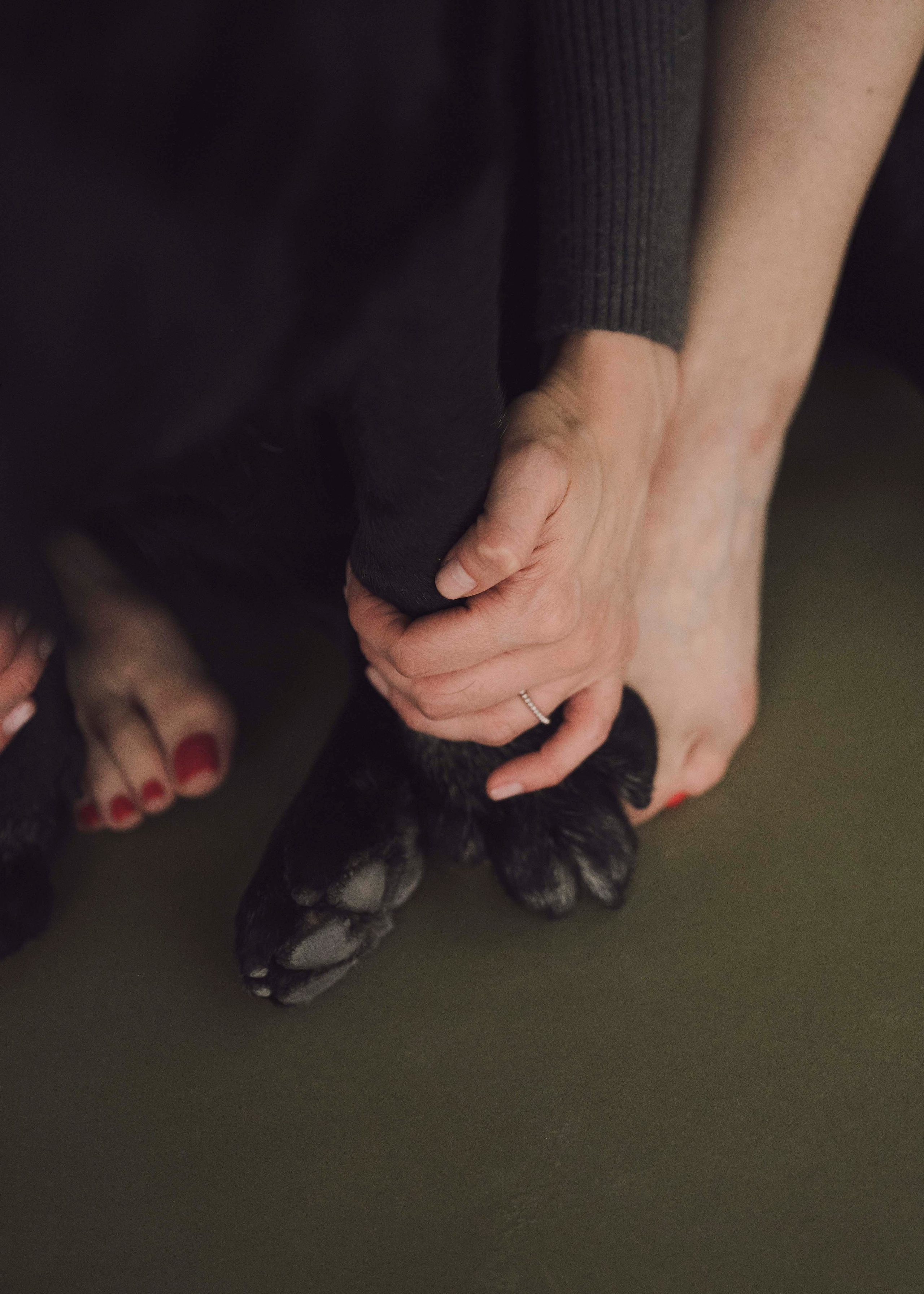 Бэста. Фотограф- анималист Александра Матвеева