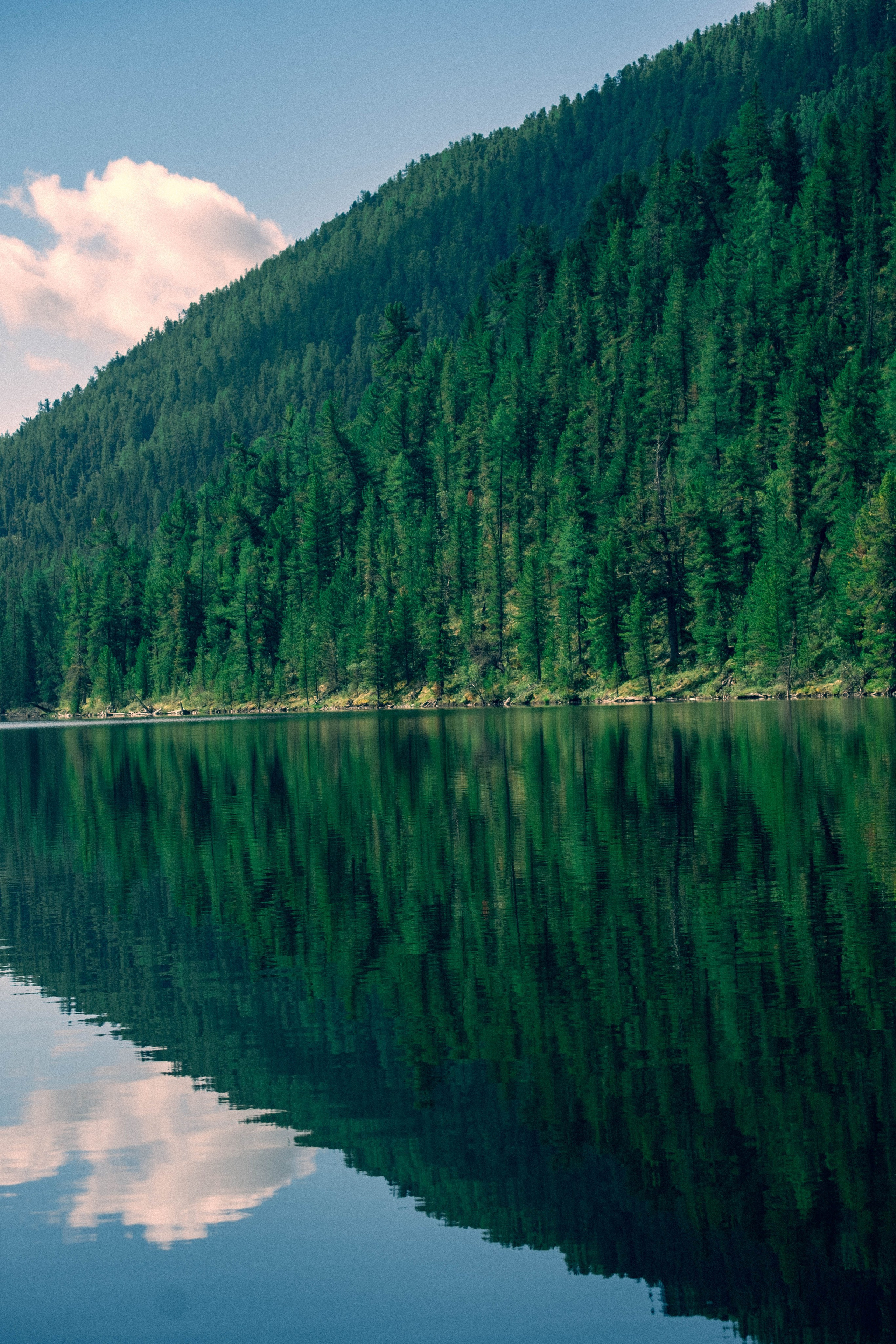 RUSSIA. Фотограф |Герасимова София