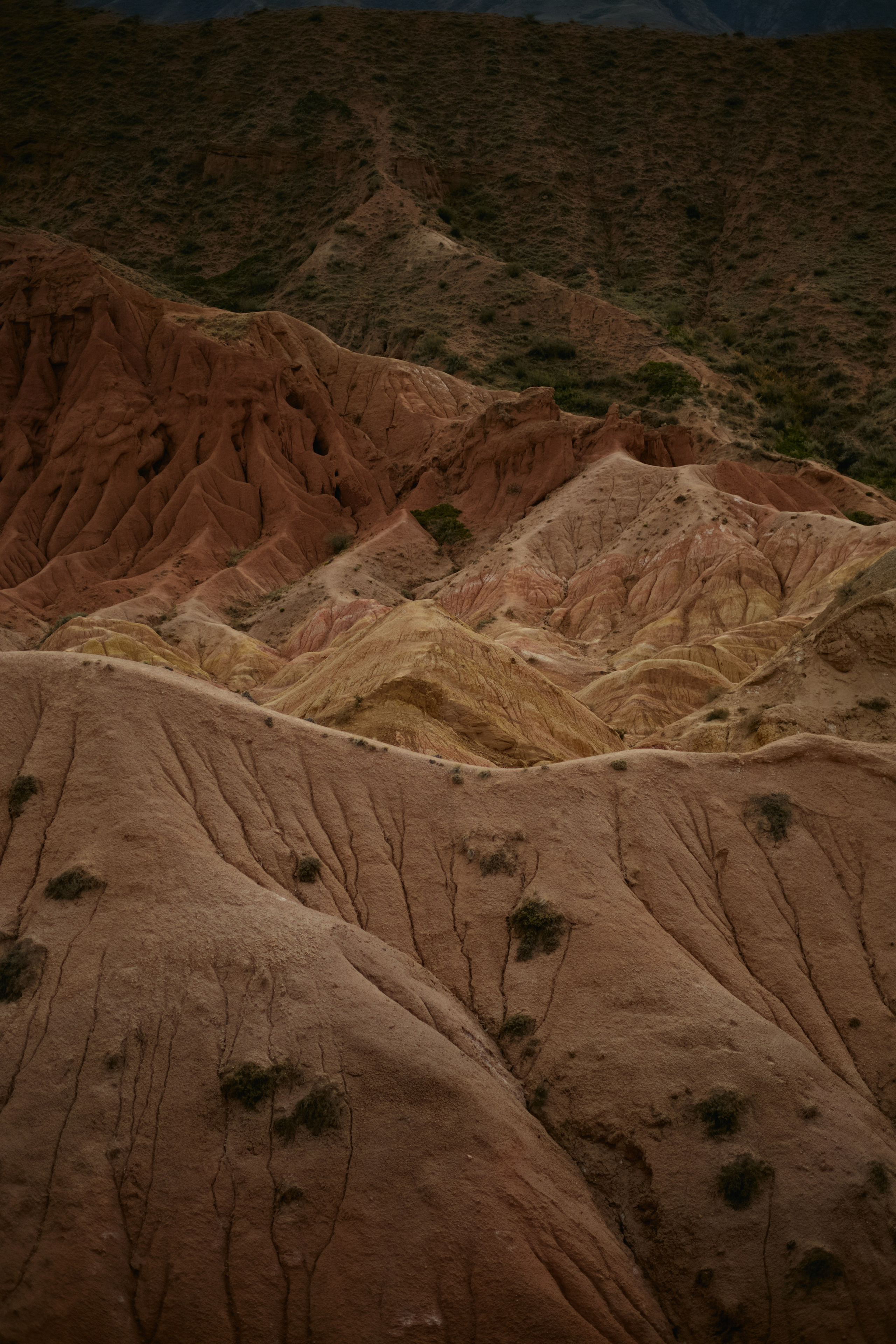 Кыргызтан. Профессиональный Фотограф во Владимире, в Москве и в Суздале — Полина Романычева