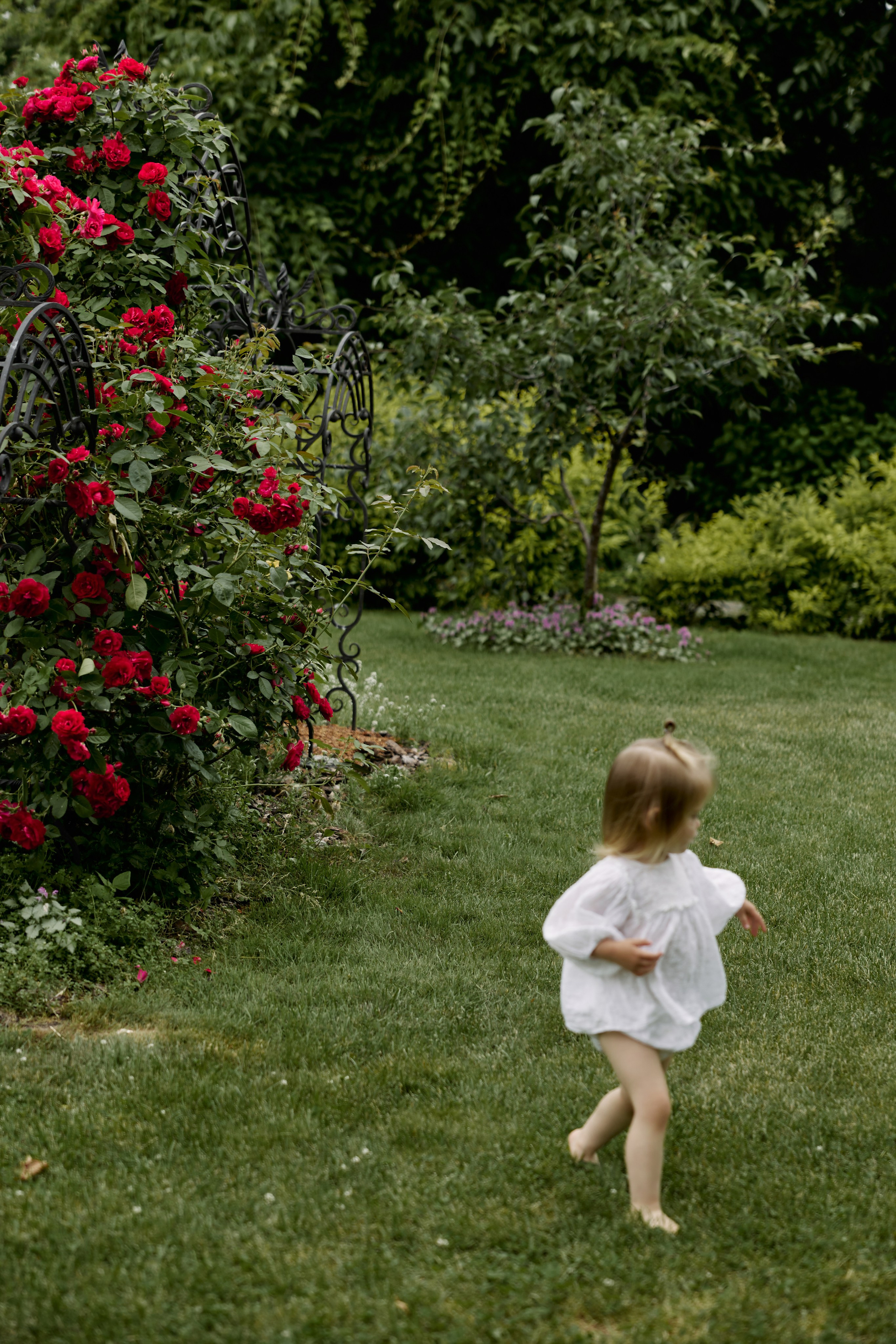 Прогулка в саду. Семейный фотограф и фотограф беременности во Владивостоке