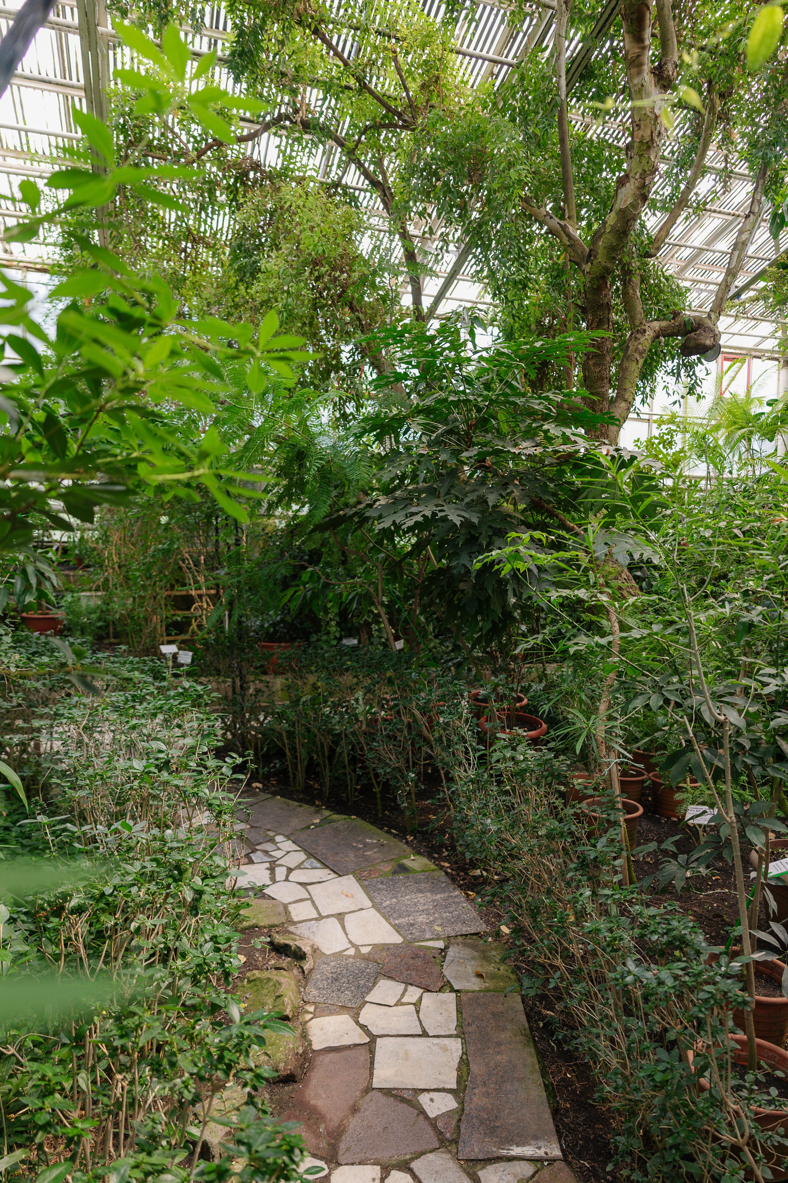 Ботанический сад Уфа. Оранжерея Уфа