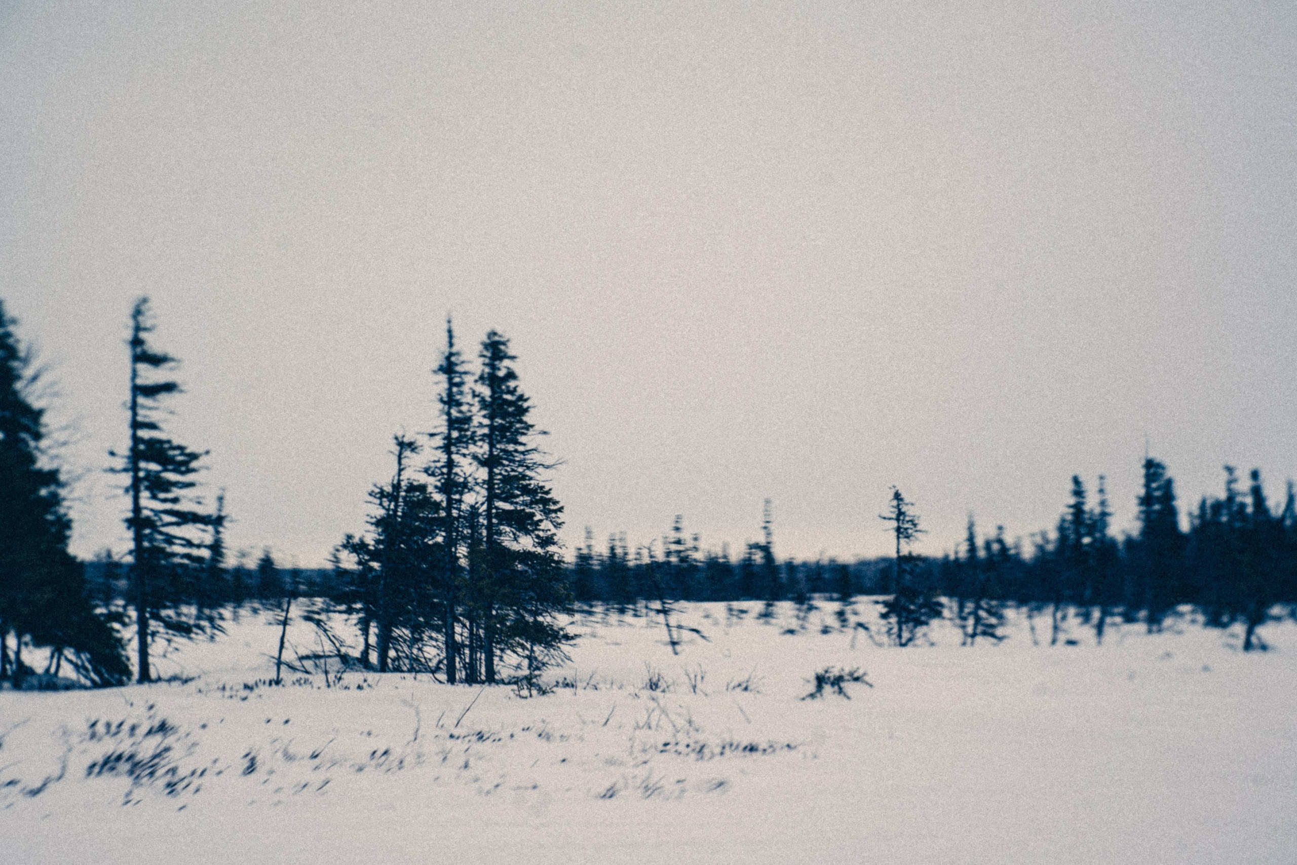 Священное озеро. Фотограф * Вячеслав Скоробогатов * Визульный Артист