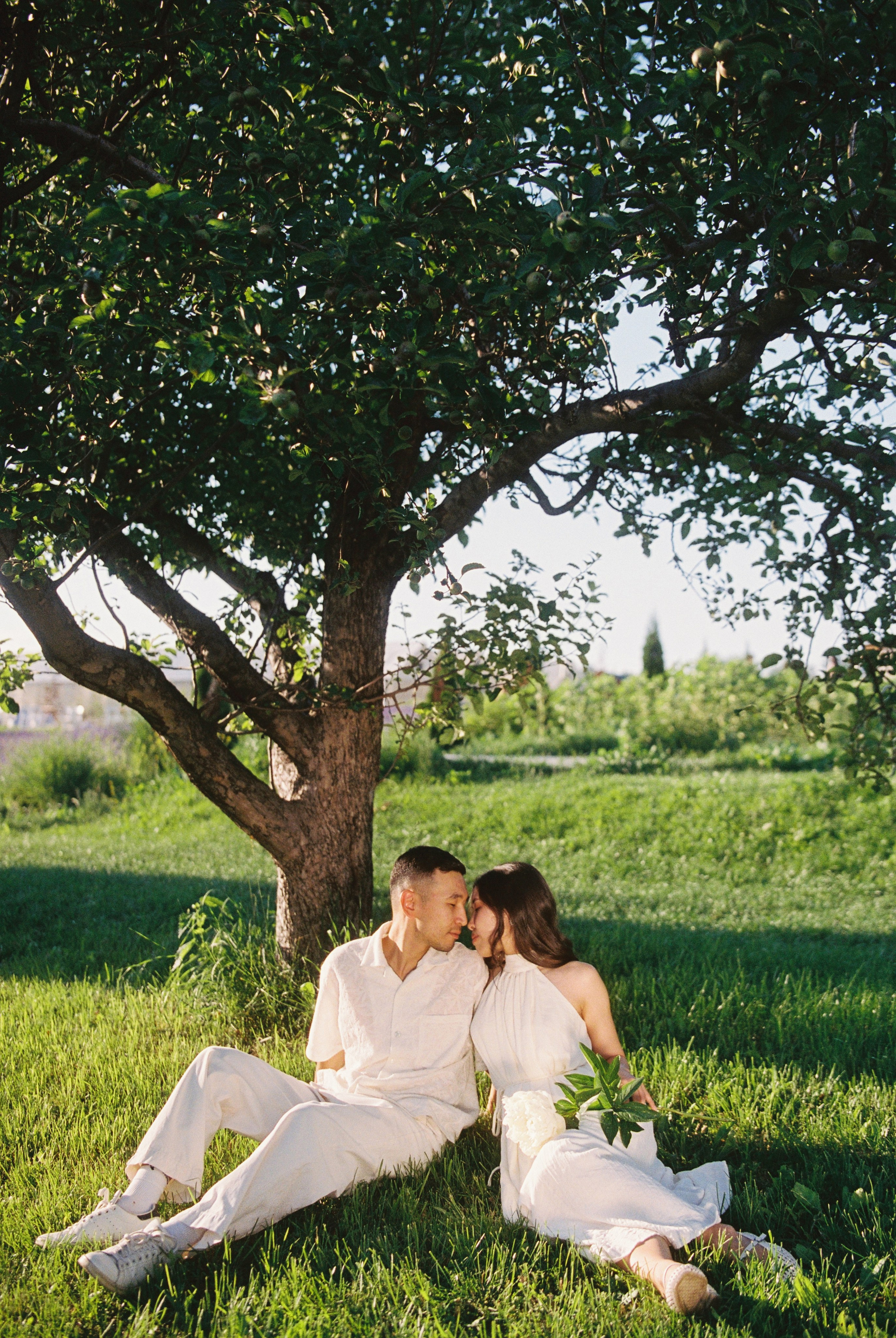 Madina&Dayren. Фотограф в Алматы — Алексей Коньков | Репортаж, свадьбы, портреты, Love story