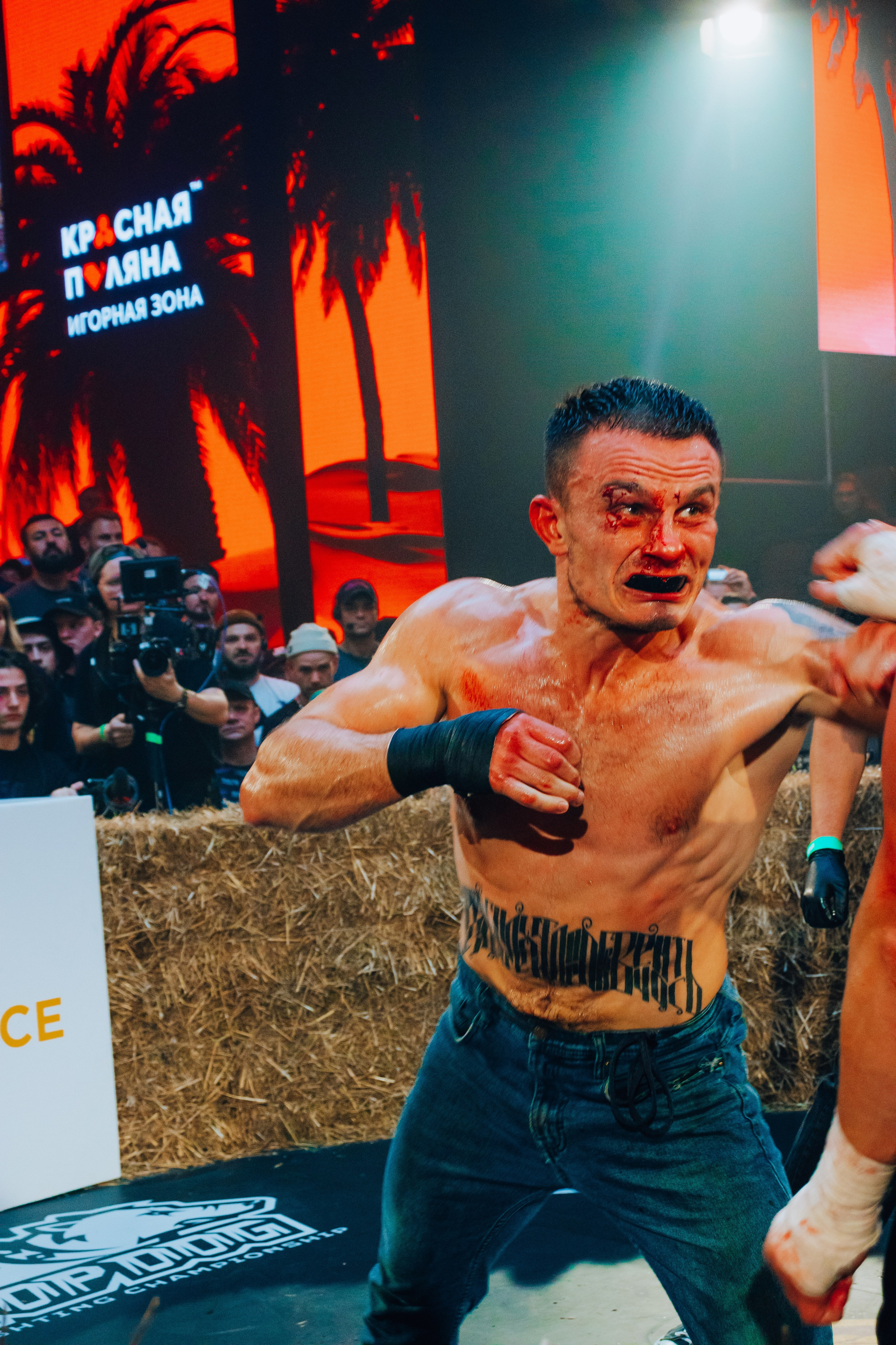 Кулачные бои TopDog. Анастасия Тен