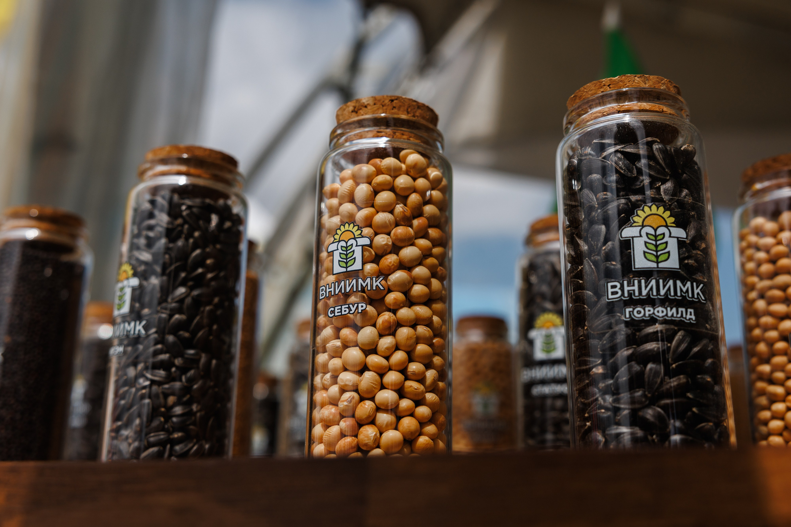 День Поля 2024 Мин-Воды ЭКСПО. Фотограф Ставрополь Петр Голубенко