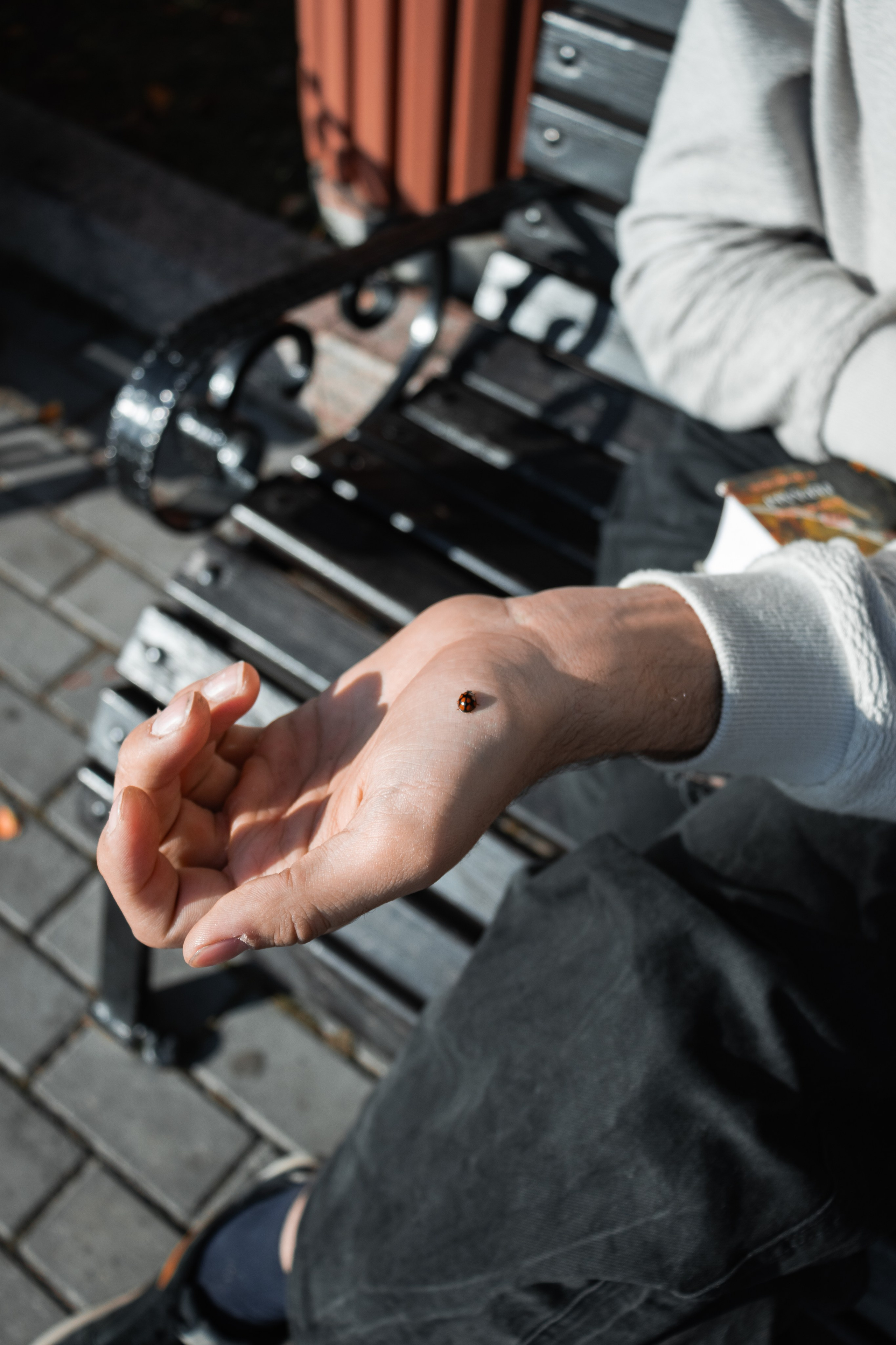 Фотограф Томск. Прогулочная фотосессия Томск. Фотосъёмка Томск. Фотограф в Томске Дарья Пучкина