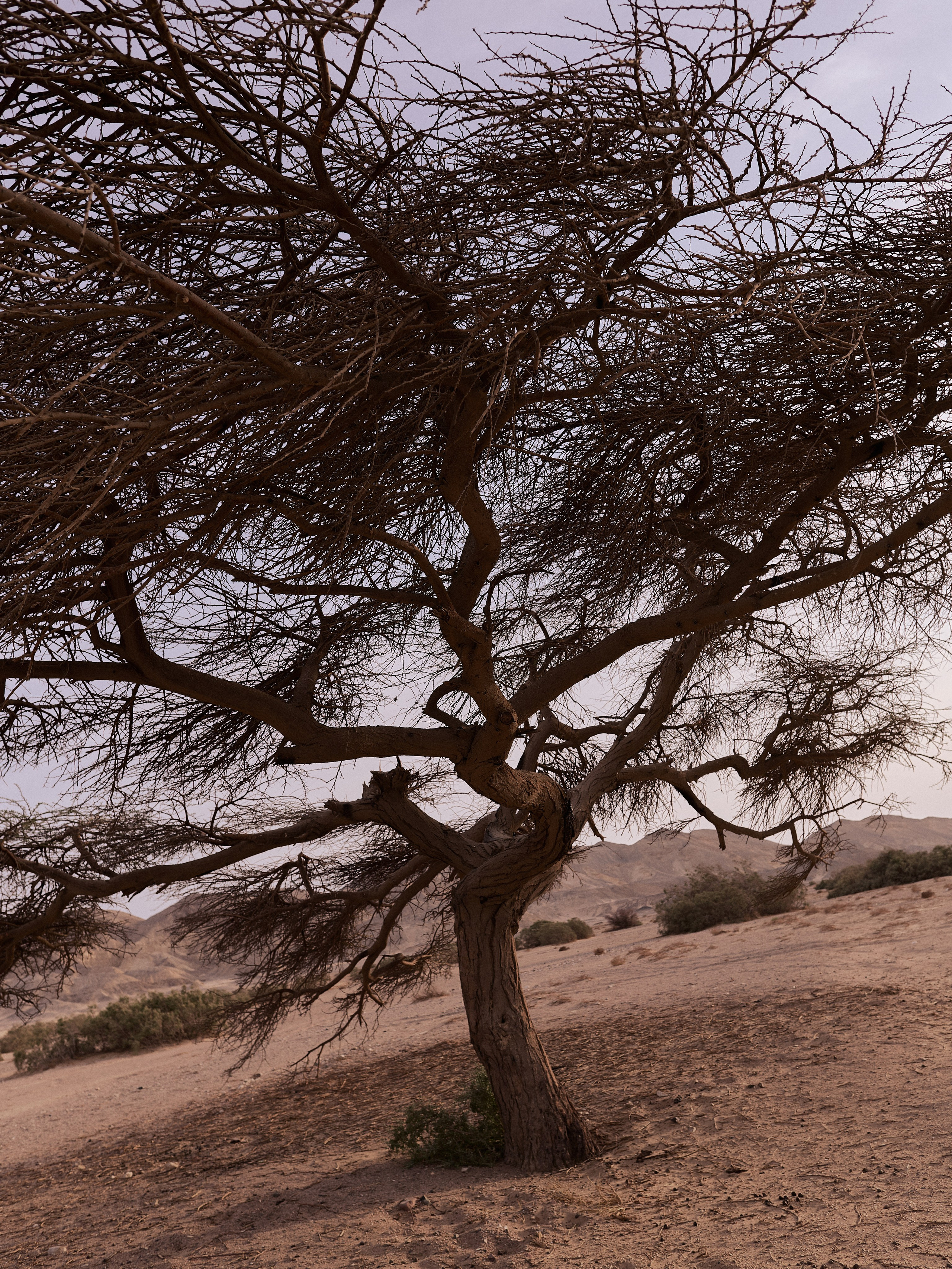 Другое 3. Jorgis Talè — photographer, kind person, teacher of arts and other mag