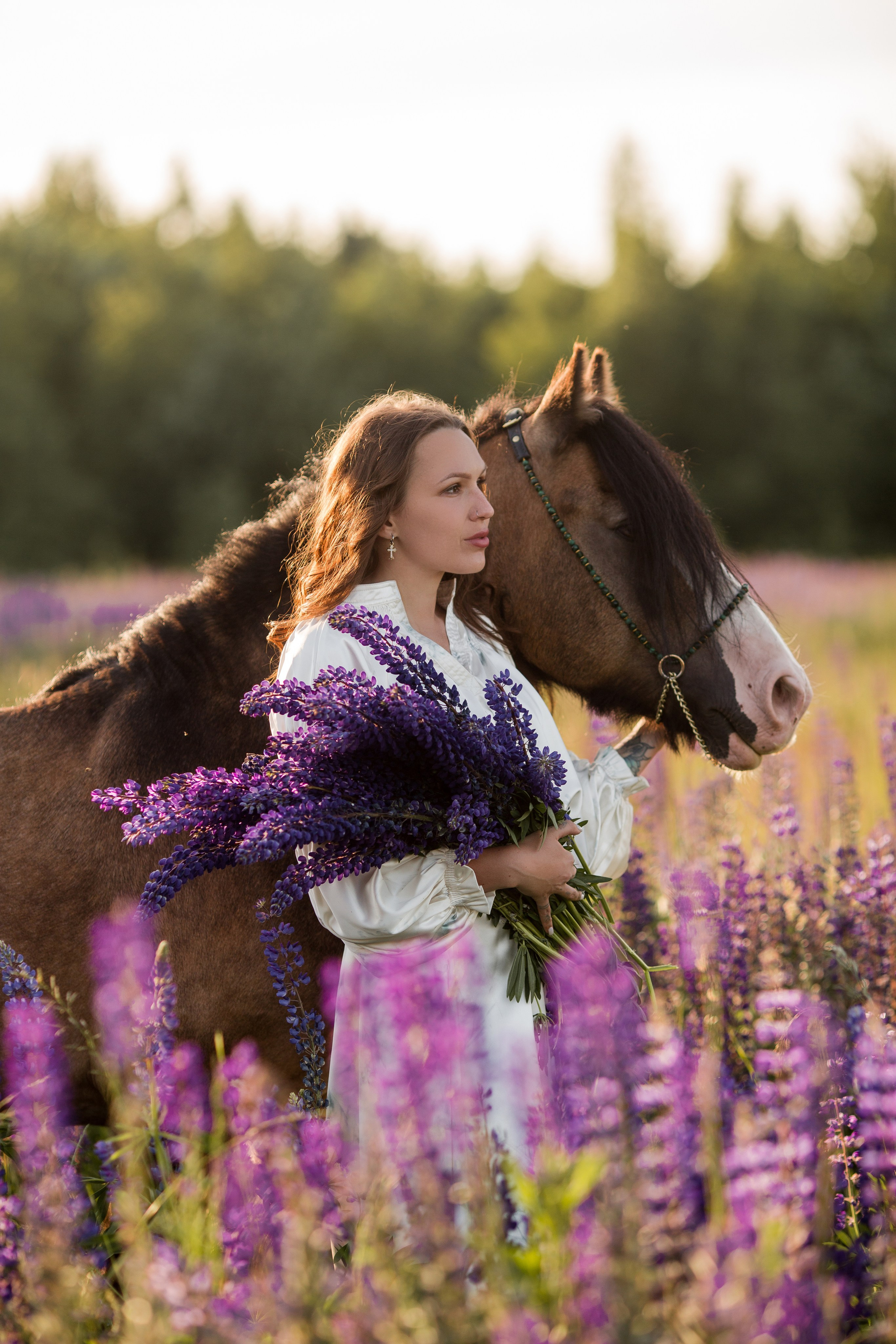 Фотосессия в люпинах с лошадью