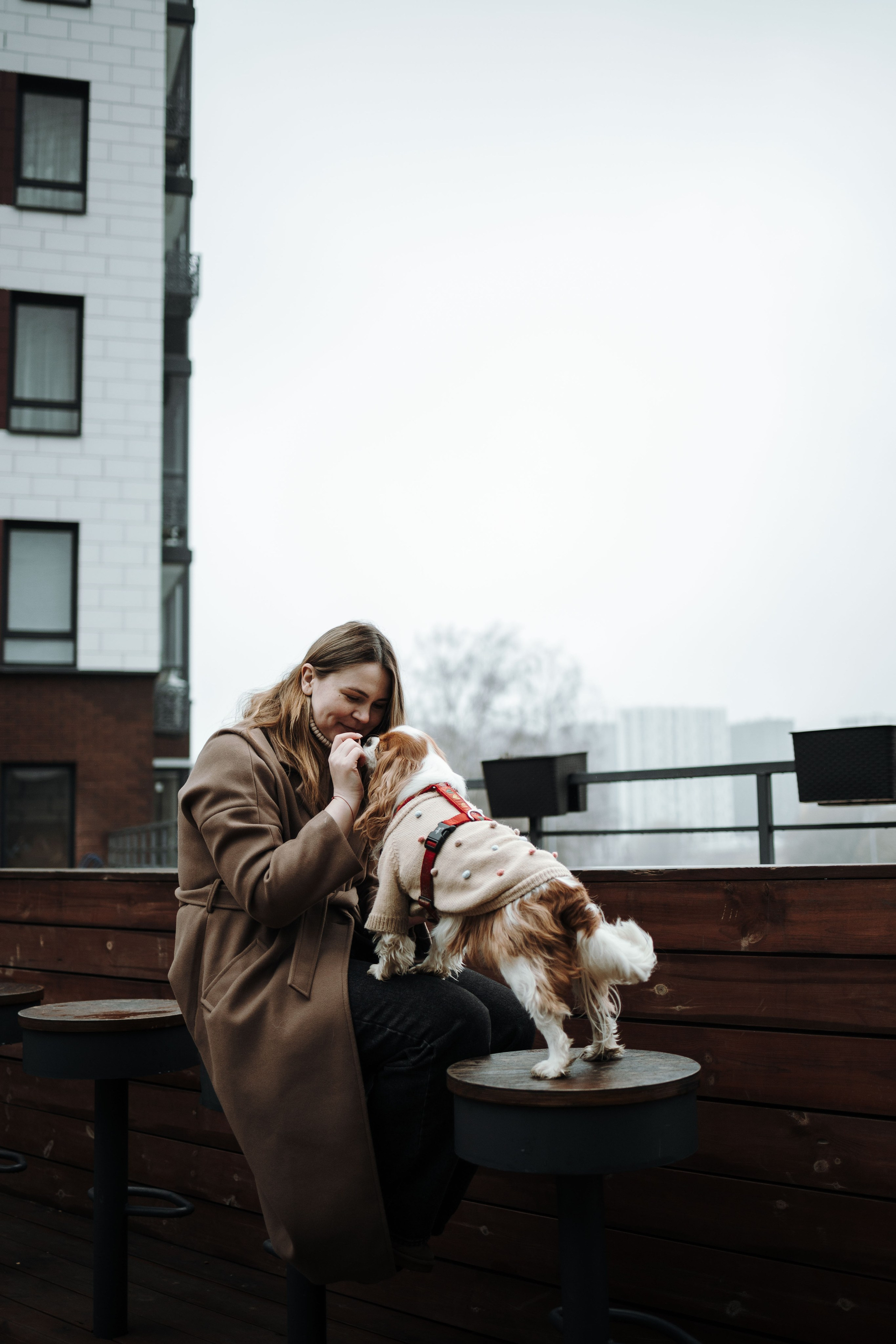 Любовь и Альтаир