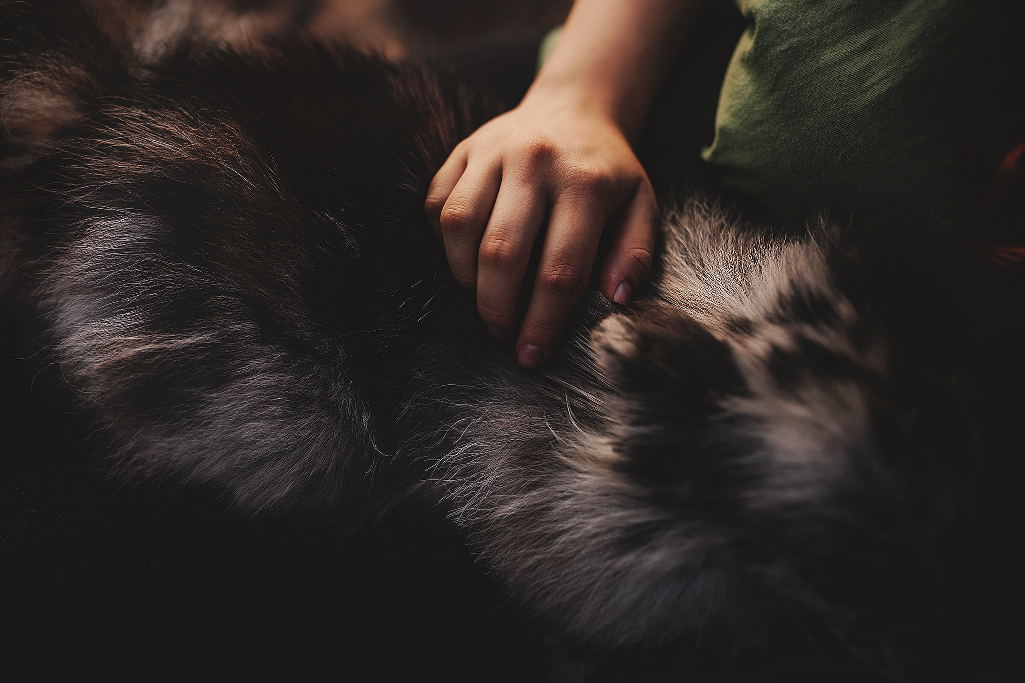 Йоши и Полина. Фотограф-анималист • love-story • Санкт-Петербург