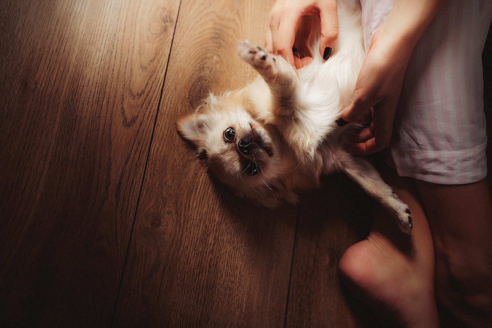 Буба и Настя. Фотограф-анималист • love-story • Санкт-Петербург