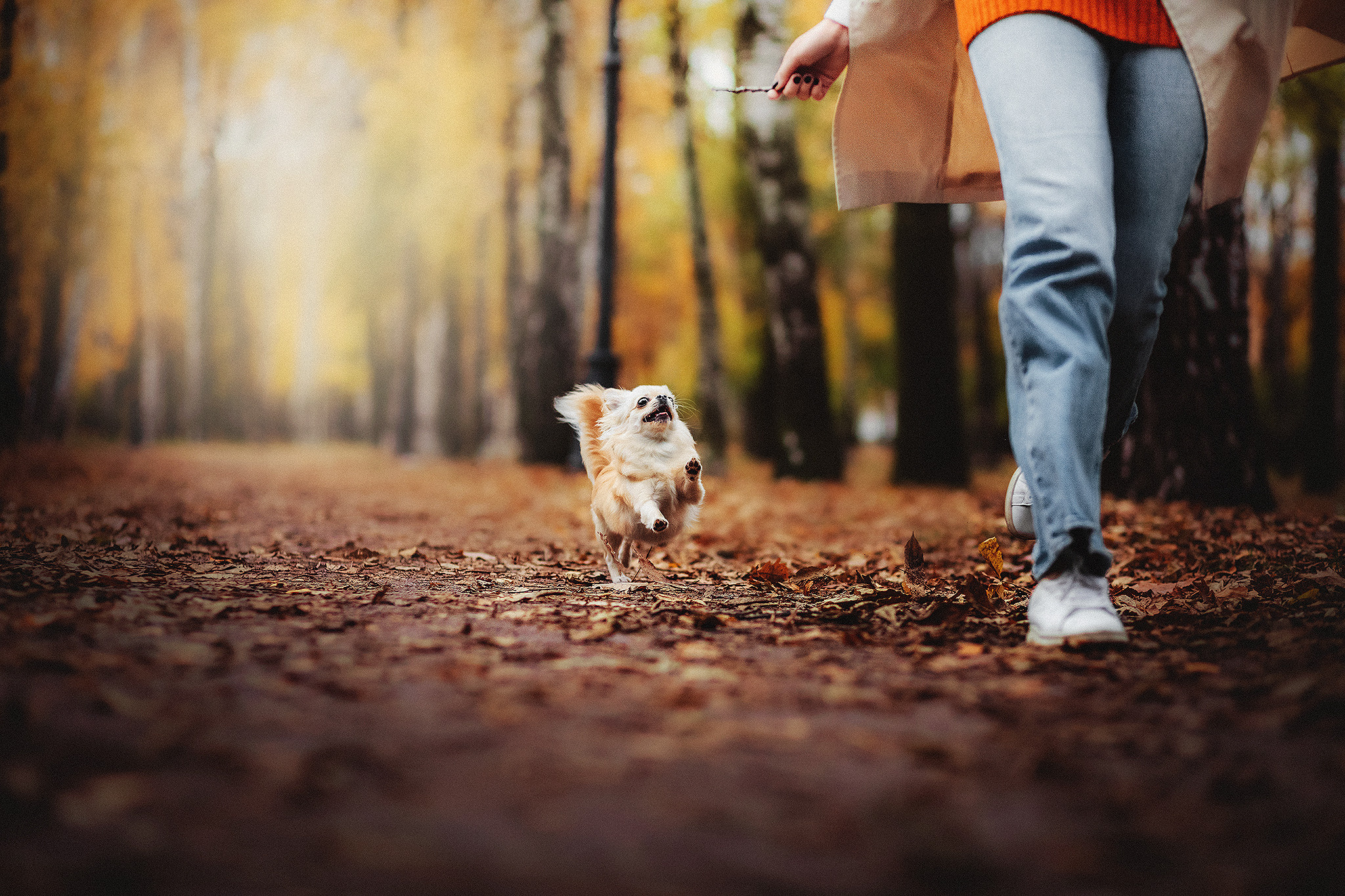 Буба и Настя. Фотограф-анималист • love-story • Санкт-Петербург