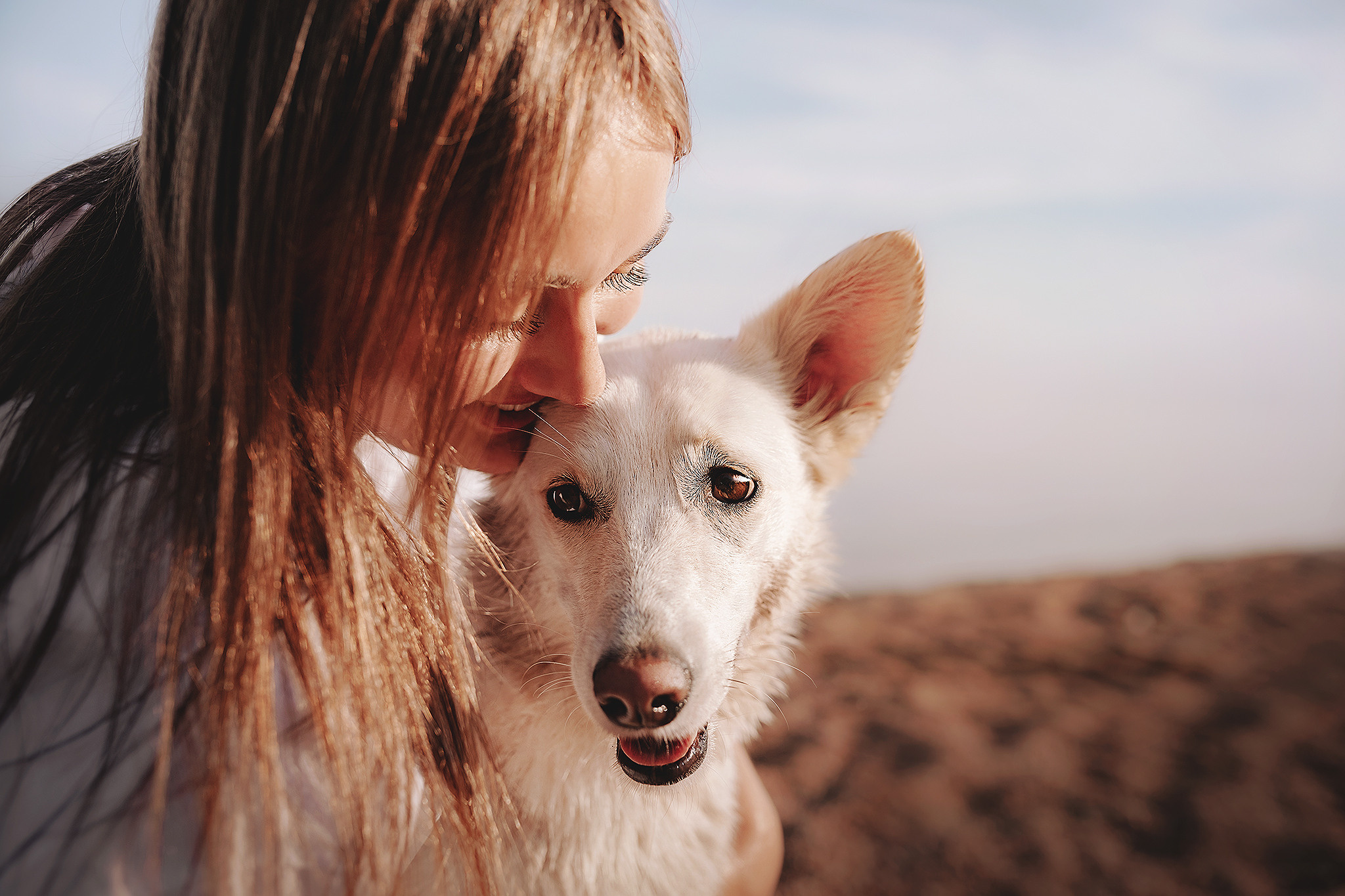 Серия: собачий ДР. Фотограф-анималист • love-story • Санкт-Петербург