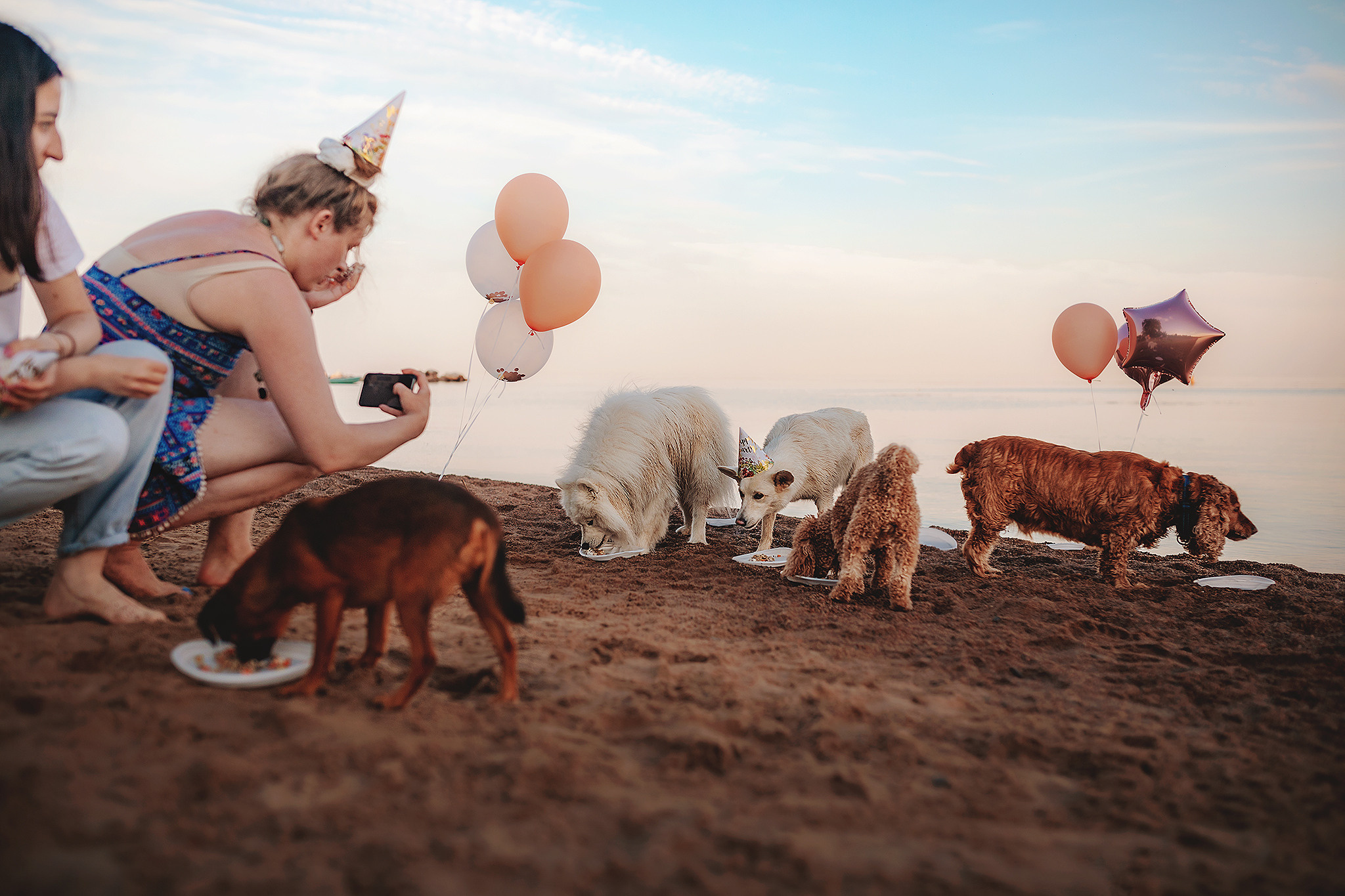 Серия: собачий ДР. Фотограф-анималист • love-story • Санкт-Петербург