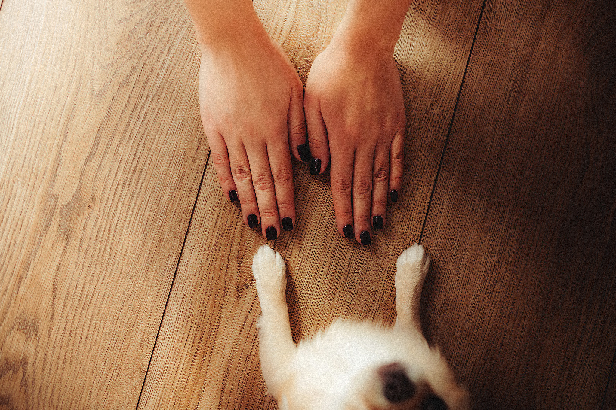 Буба и Настя. Фотограф-анималист • love-story • Санкт-Петербург