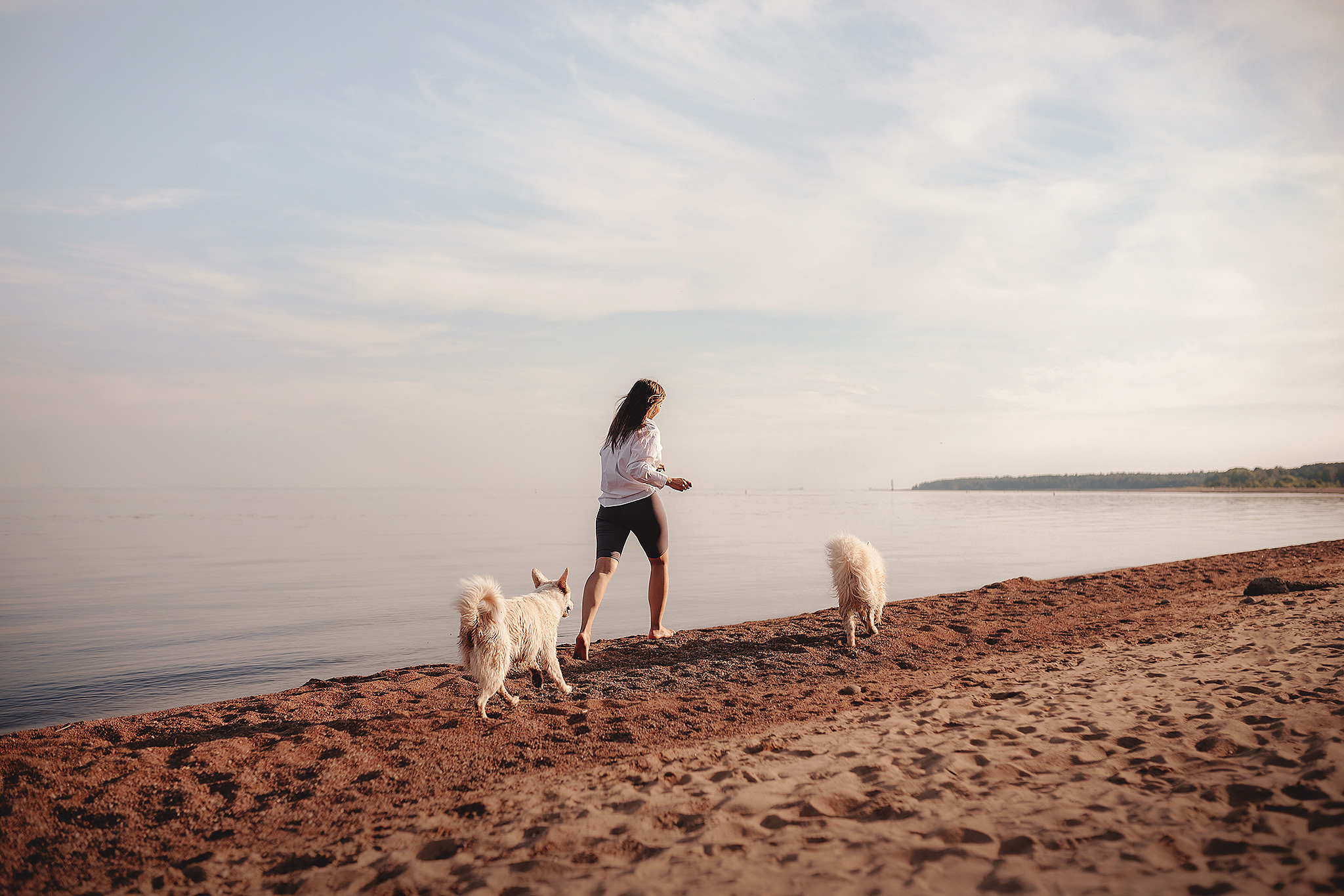 Серия: собачий ДР. Фотограф-анималист • love-story • Санкт-Петербург