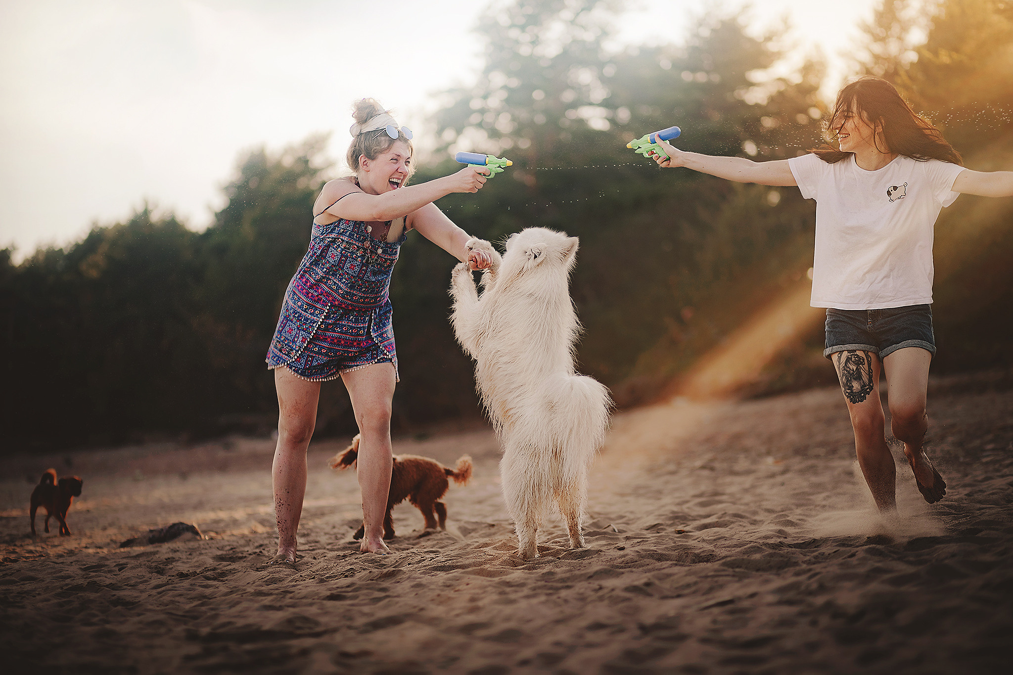 Серия: собачий ДР. Фотограф-анималист • love-story • Санкт-Петербург
