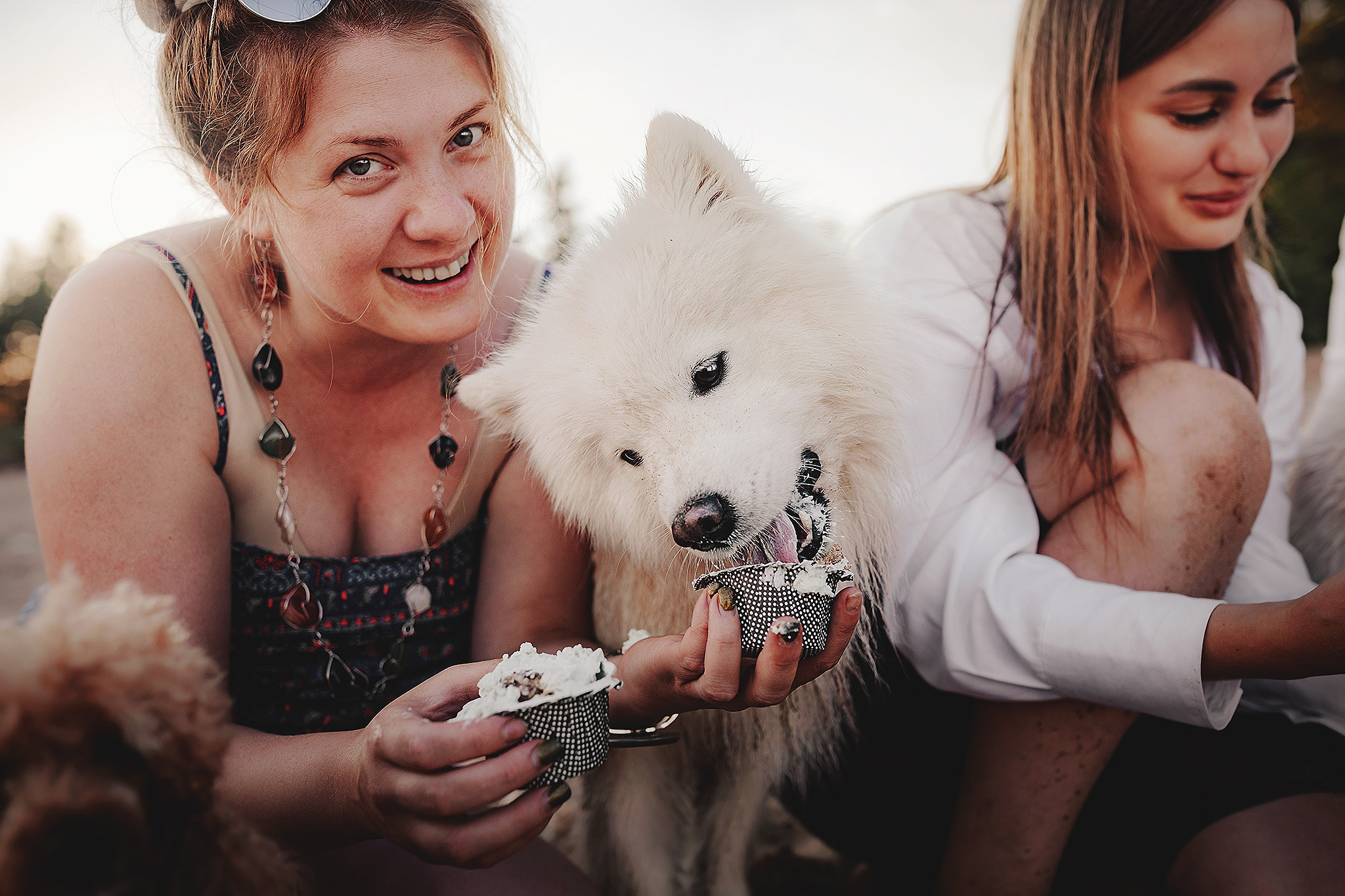 Серия: собачий ДР. Фотограф-анималист • love-story • Санкт-Петербург