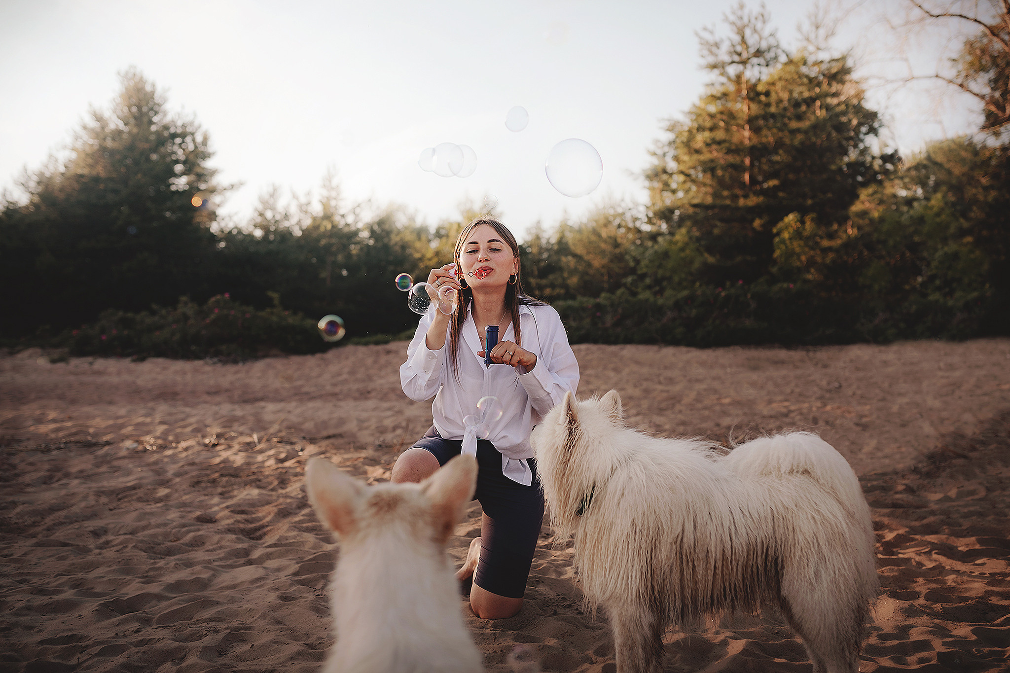 Серия: собачий ДР. Фотограф-анималист • love-story • Санкт-Петербург
