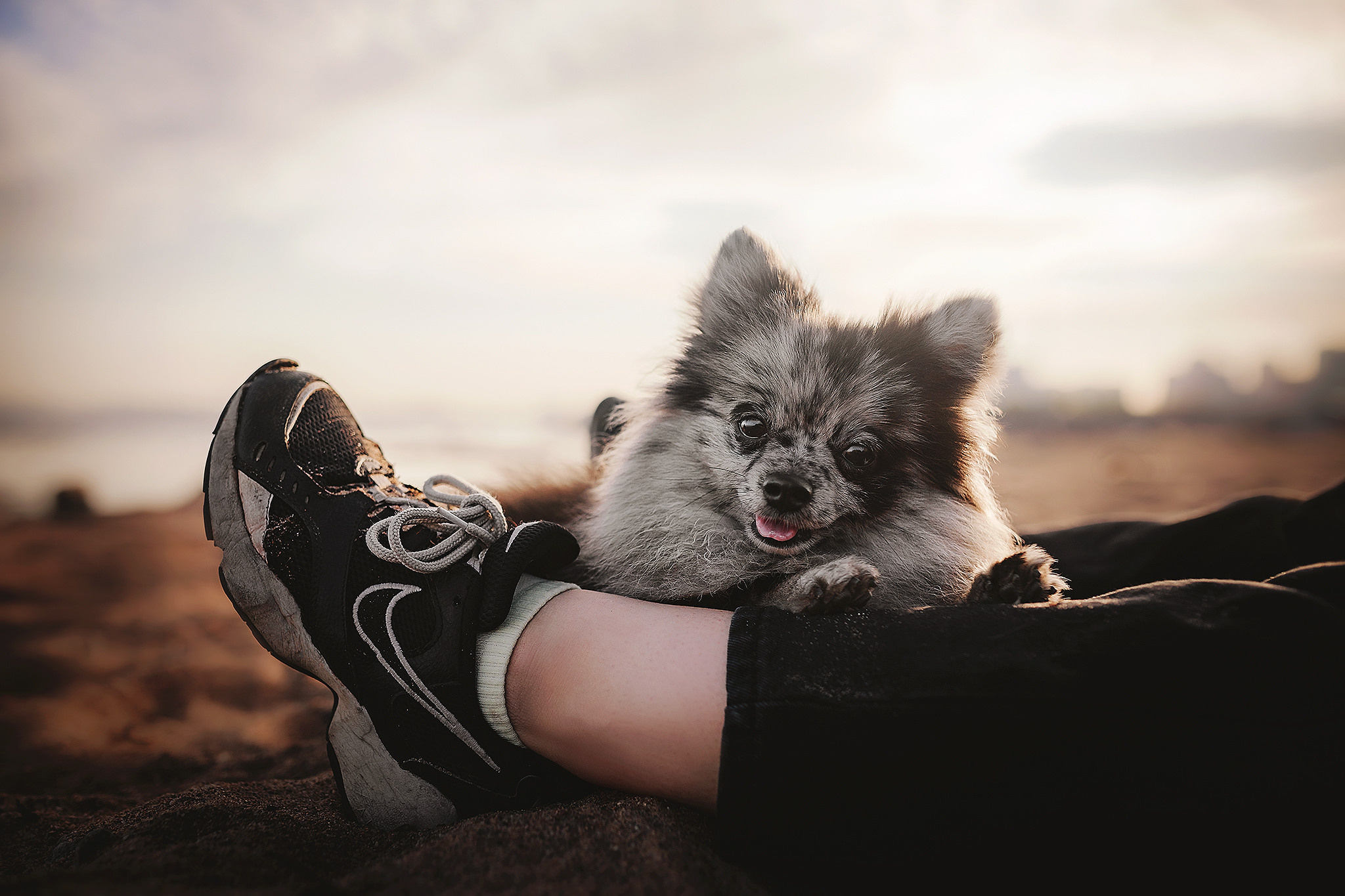 Йоши и Полина. Фотограф-анималист • love-story • Санкт-Петербург