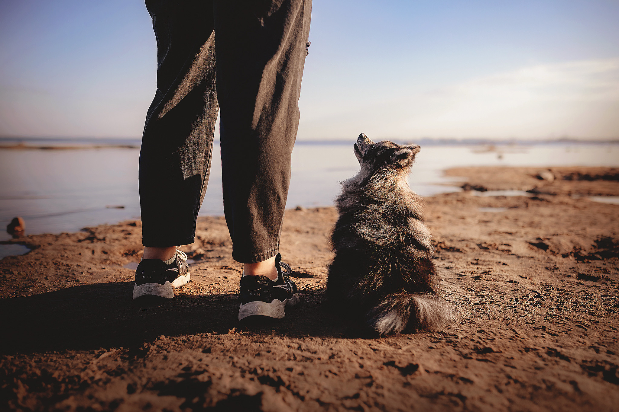 Йоши и Полина. Фотограф-анималист • love-story • Санкт-Петербург