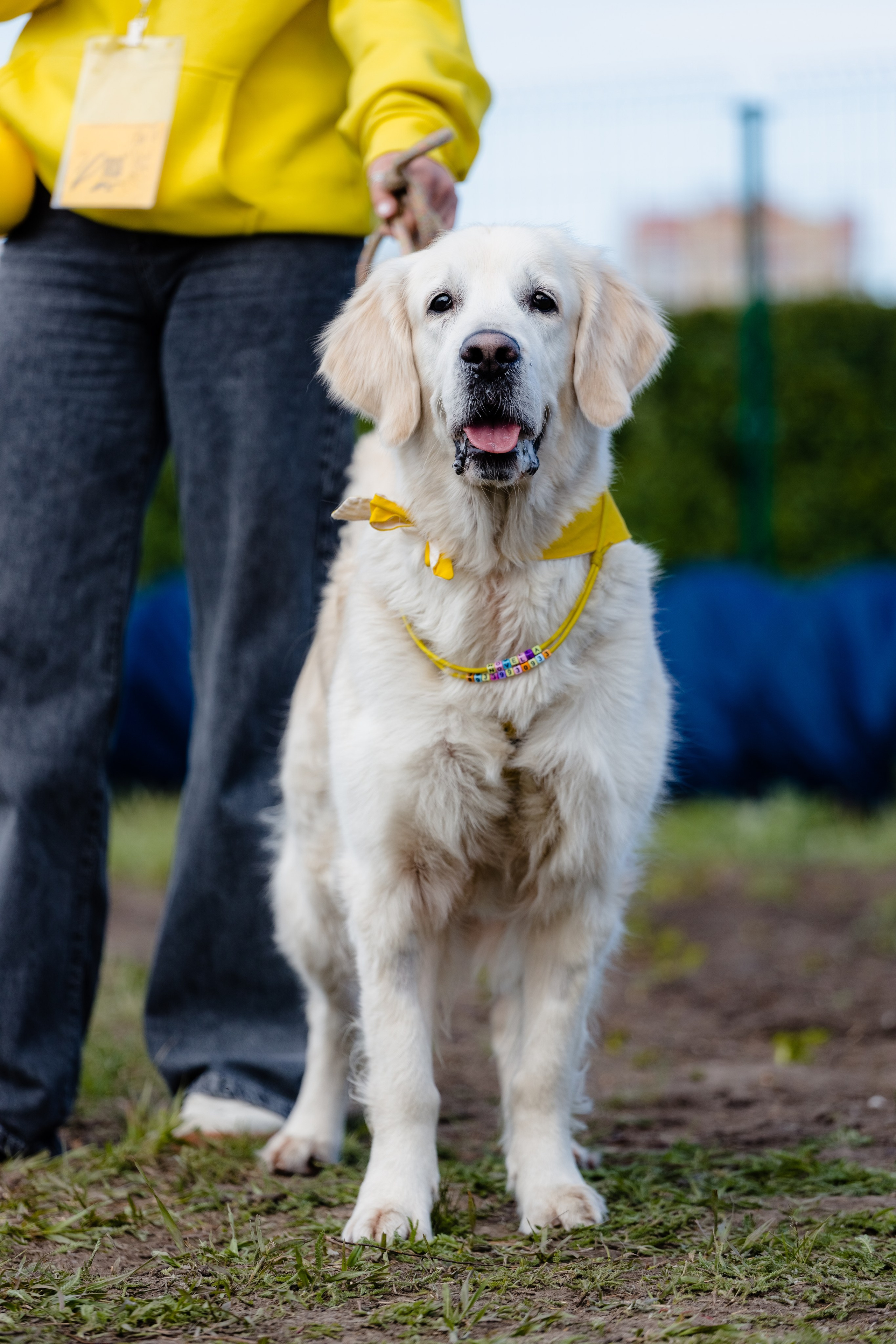 МЕГА | Фестиваль. Свадебный и репортажный фотограф в Омске. Червоткин Никита