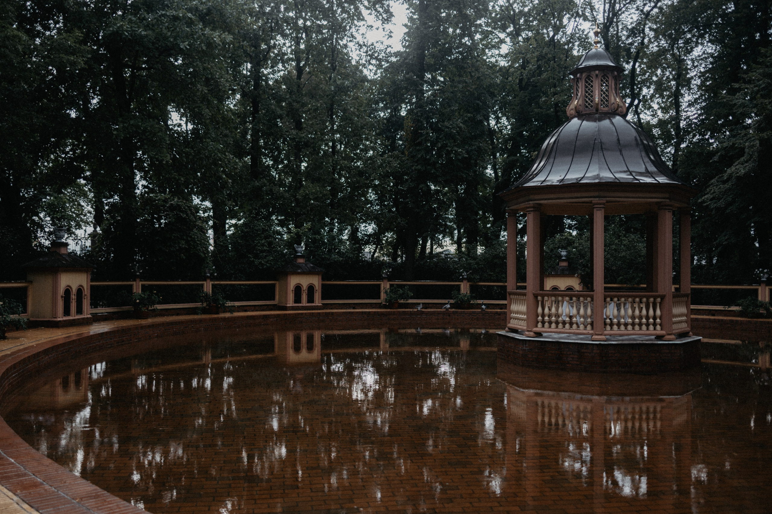 Город дождей. Семейный фотограф в Белгороде