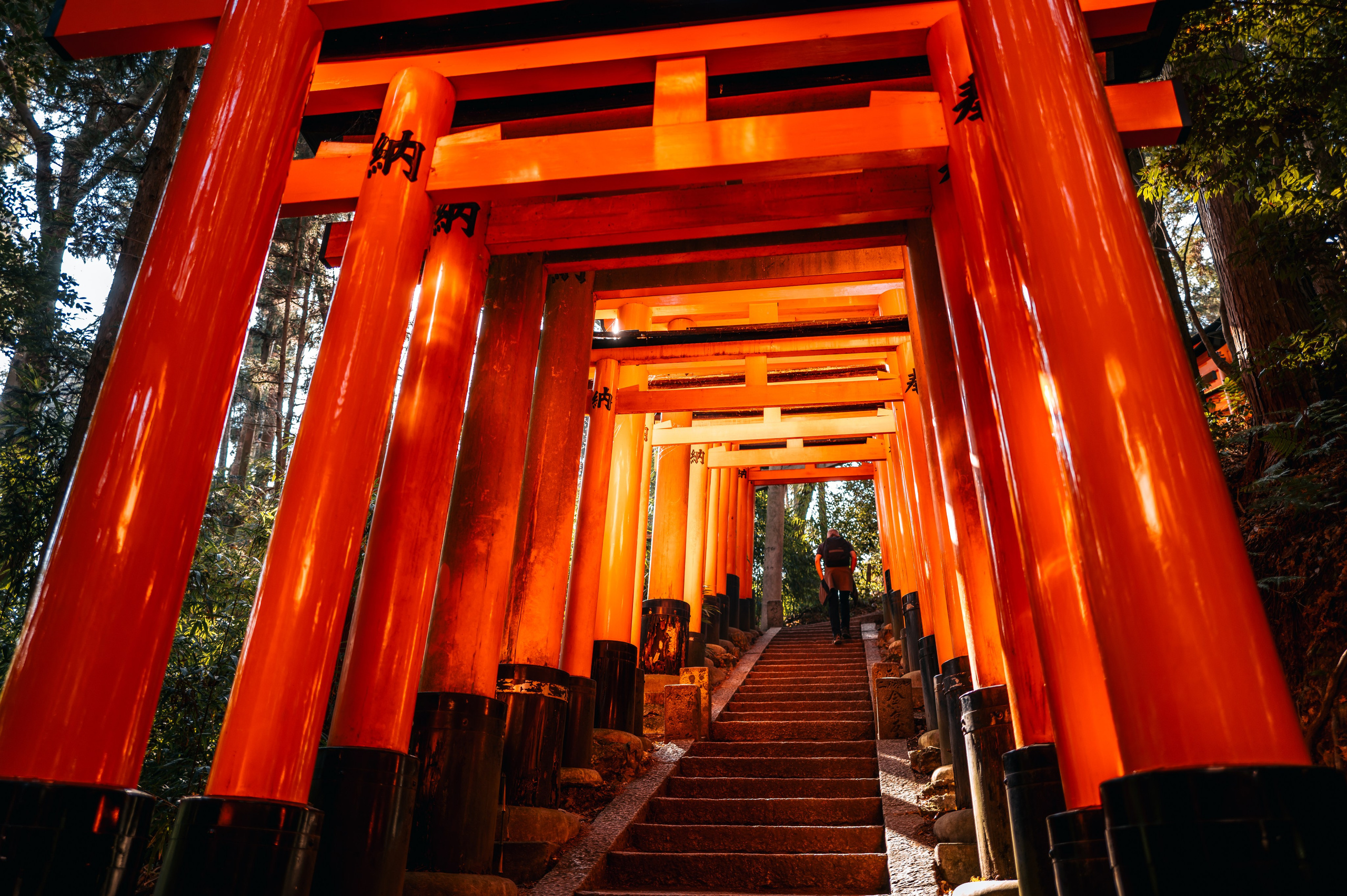 Japan/Япония. @tomrus: Рустам Шагиморданов — фотограф