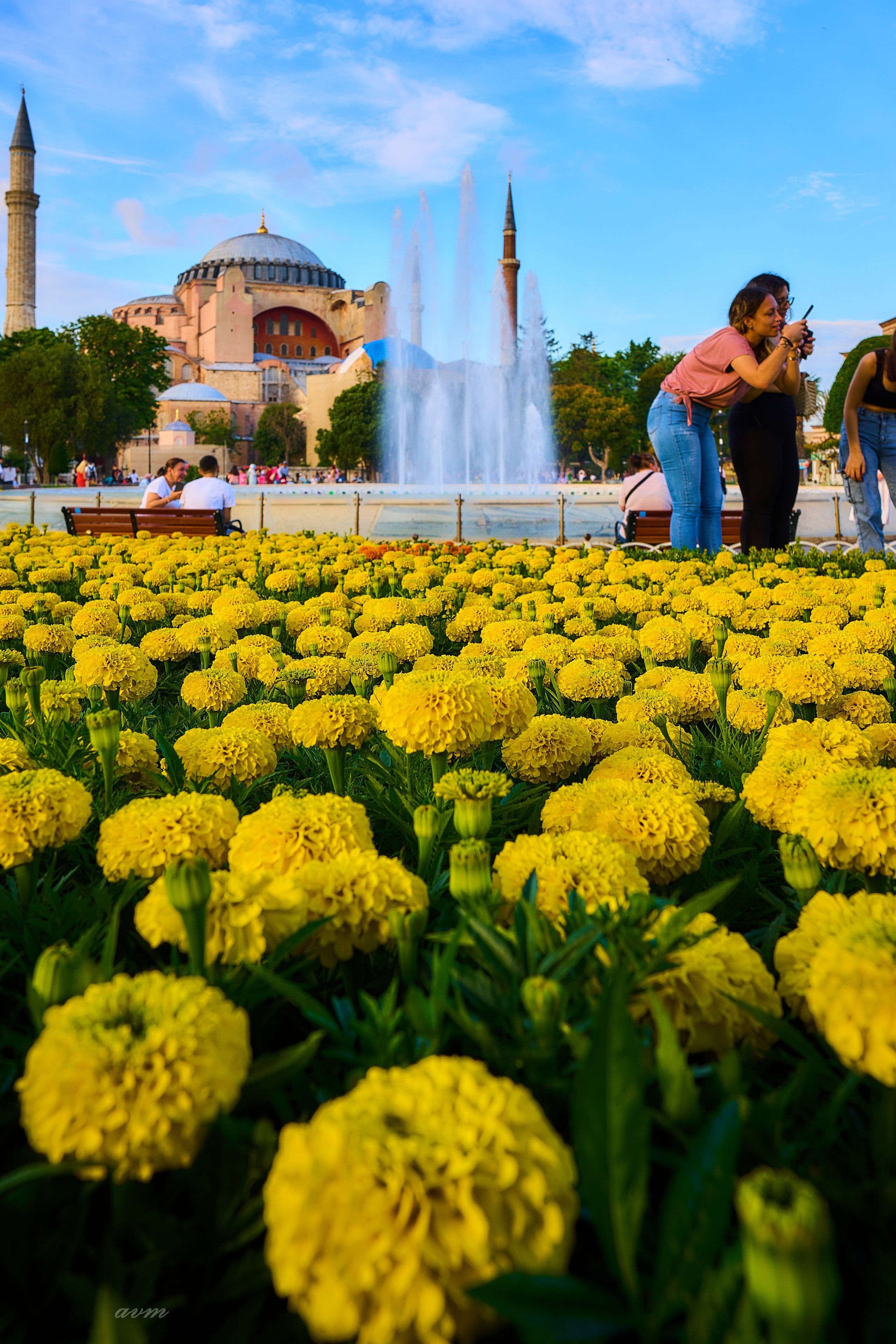 Стамбул 2023. Фотограф Михеев Андрей