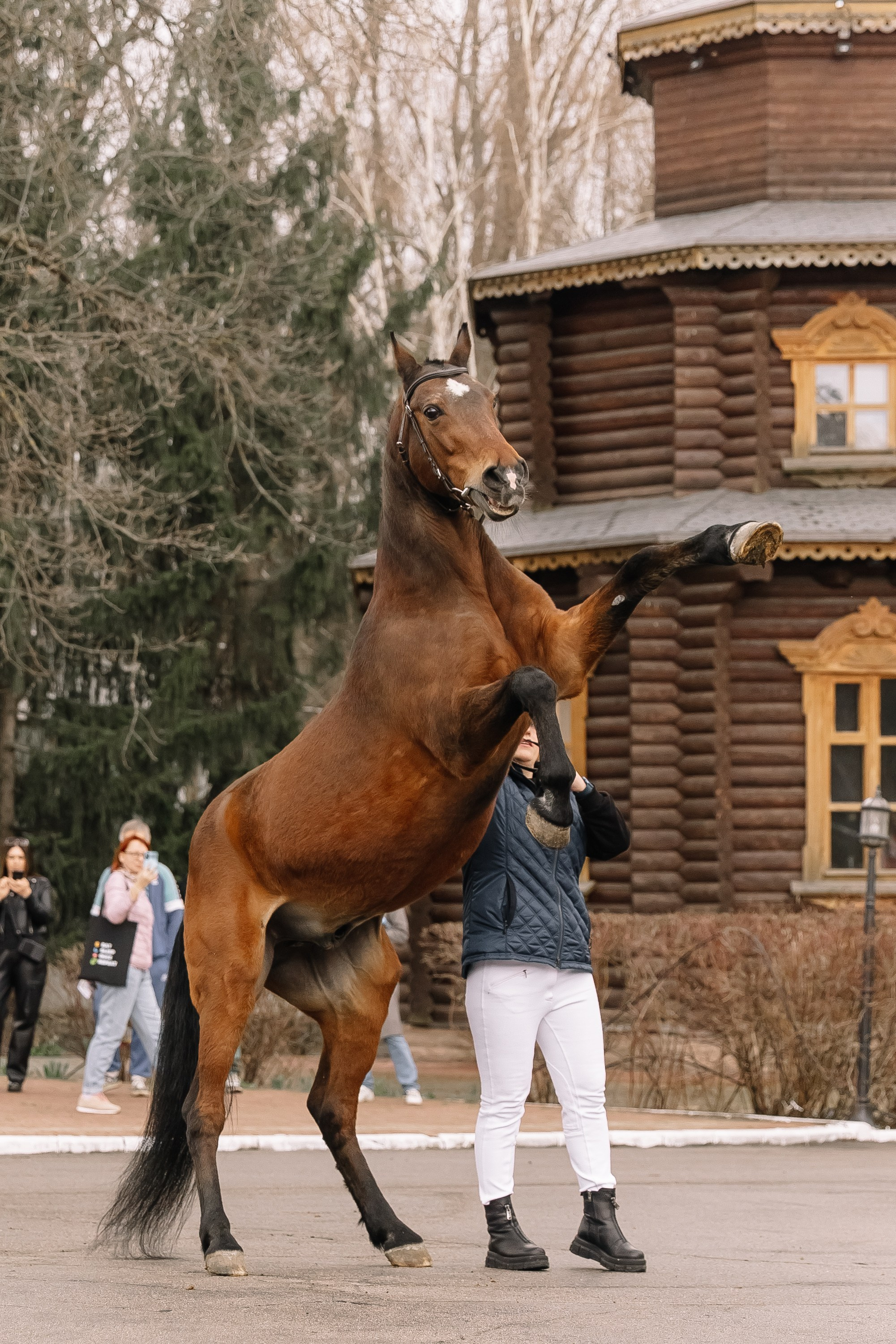 День Орловского рысака. Парк-отель Яр. Свадебный, репортажный фотограф Ирина Шкурина