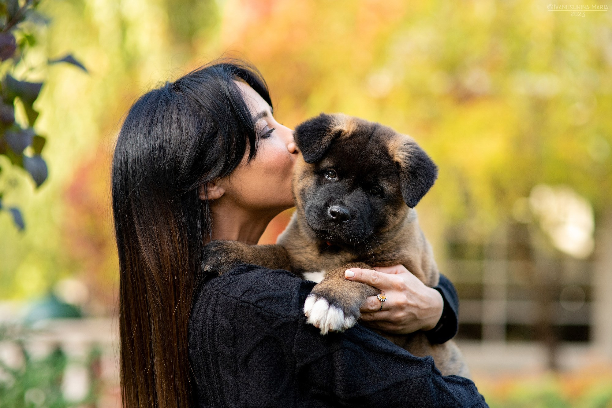 Фотосессия с собакой. Фотограф собак в Москве и Московской области Иванушкина Мария