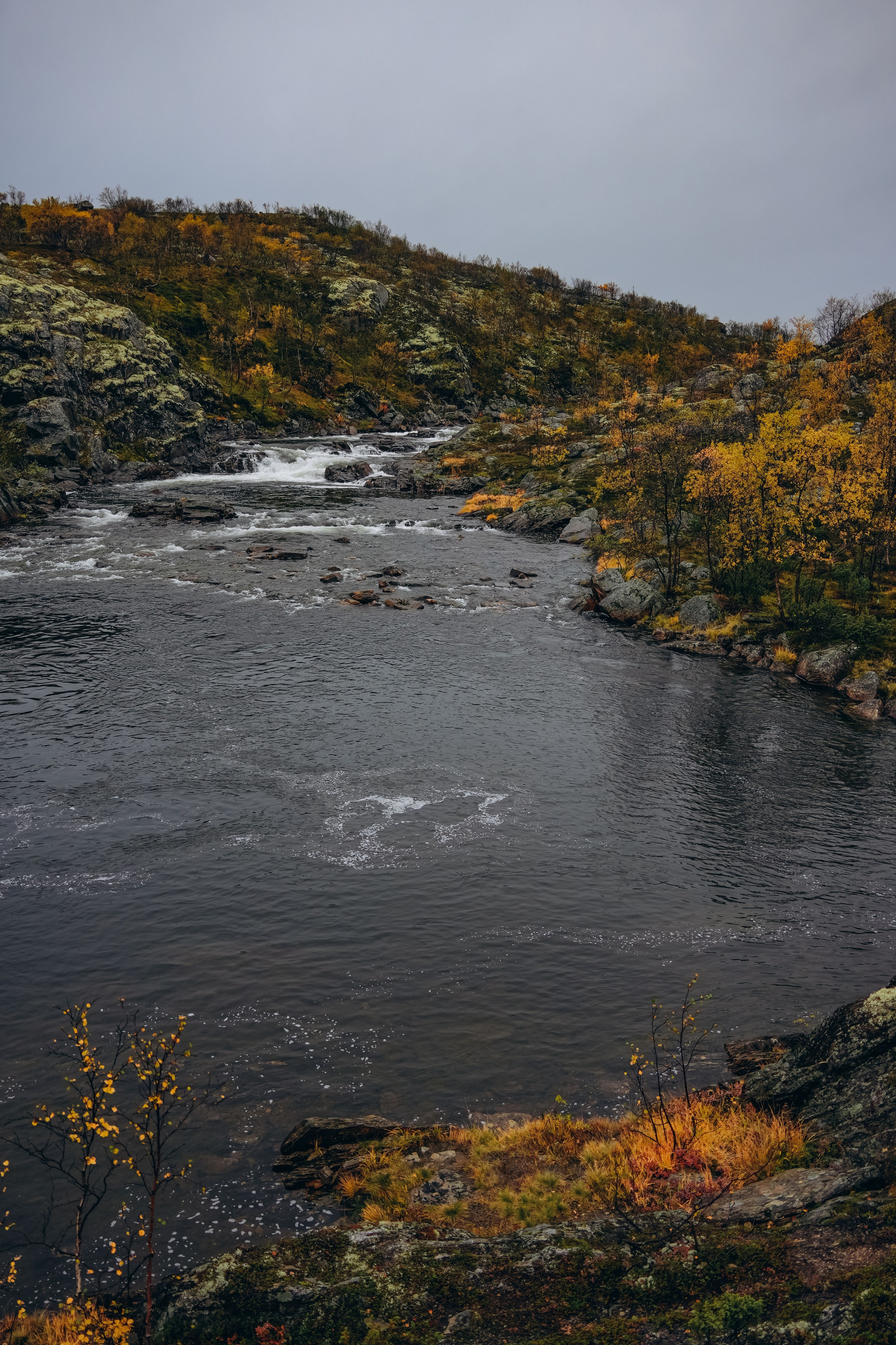СЕВЕР. Event фотограф Степанова Александра