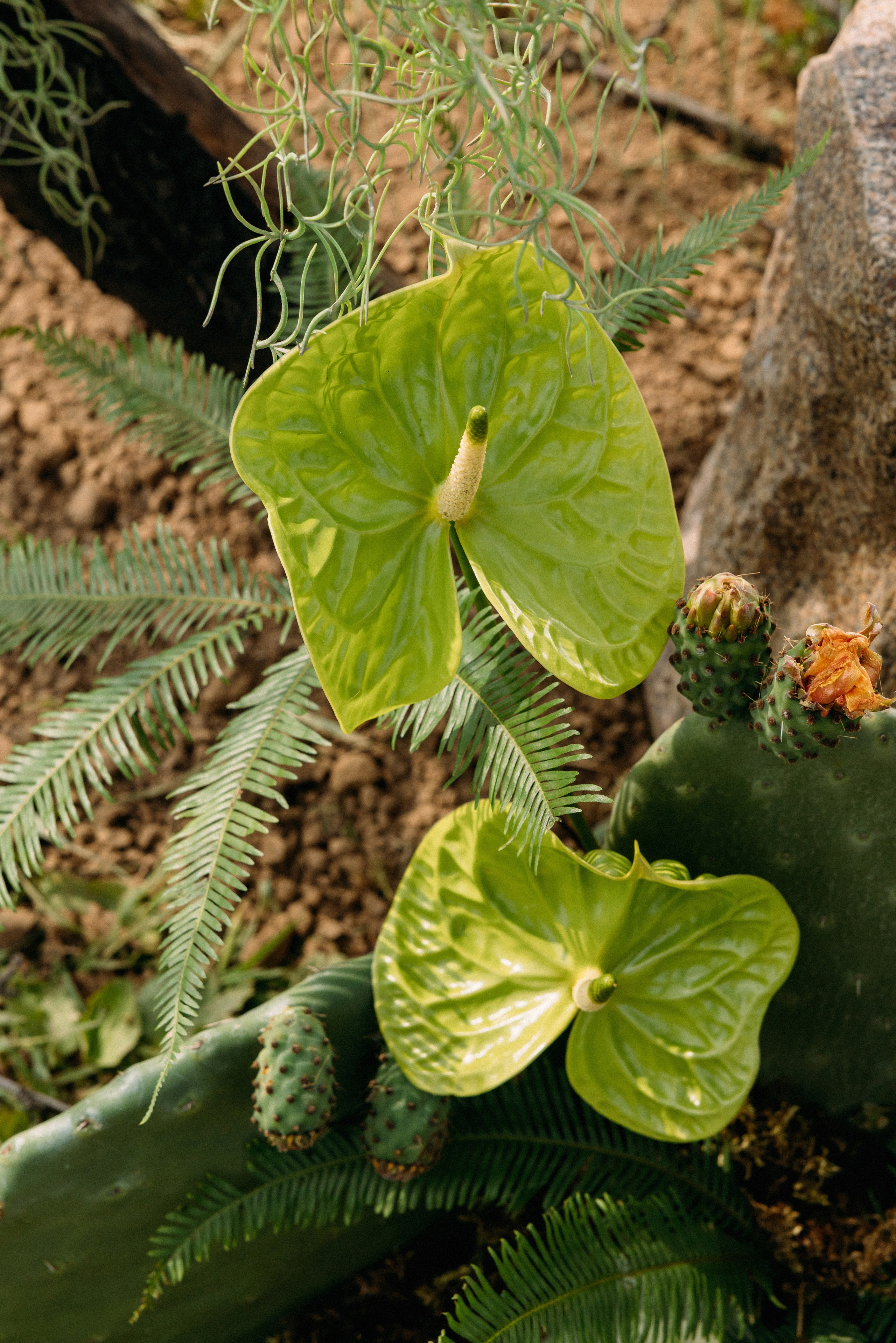 @avtors.agency. Свадебный и репортажный фотограф в Москве Владимир Сергеев | Naysaikolo