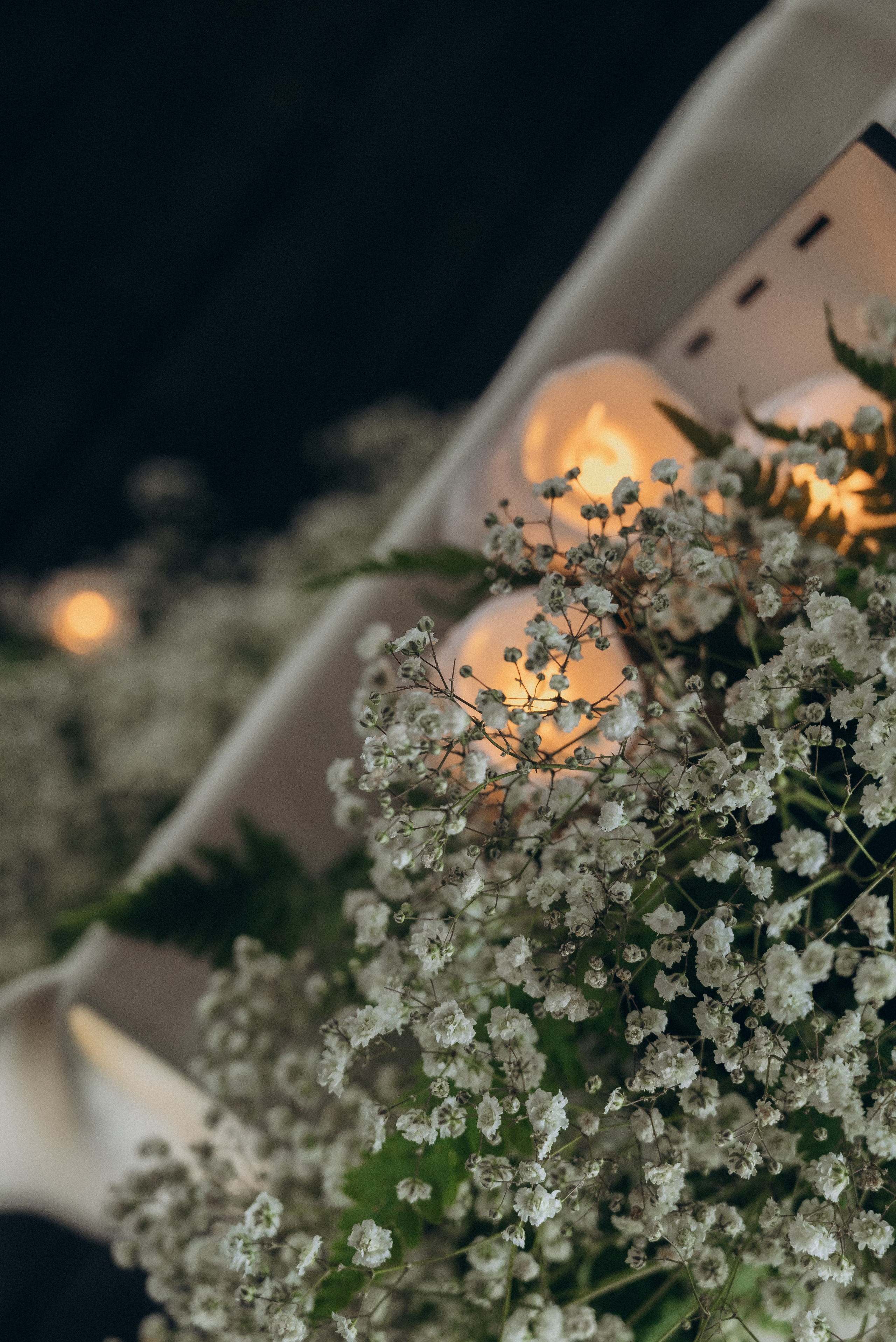 Миша и Саша. Тамара Власова