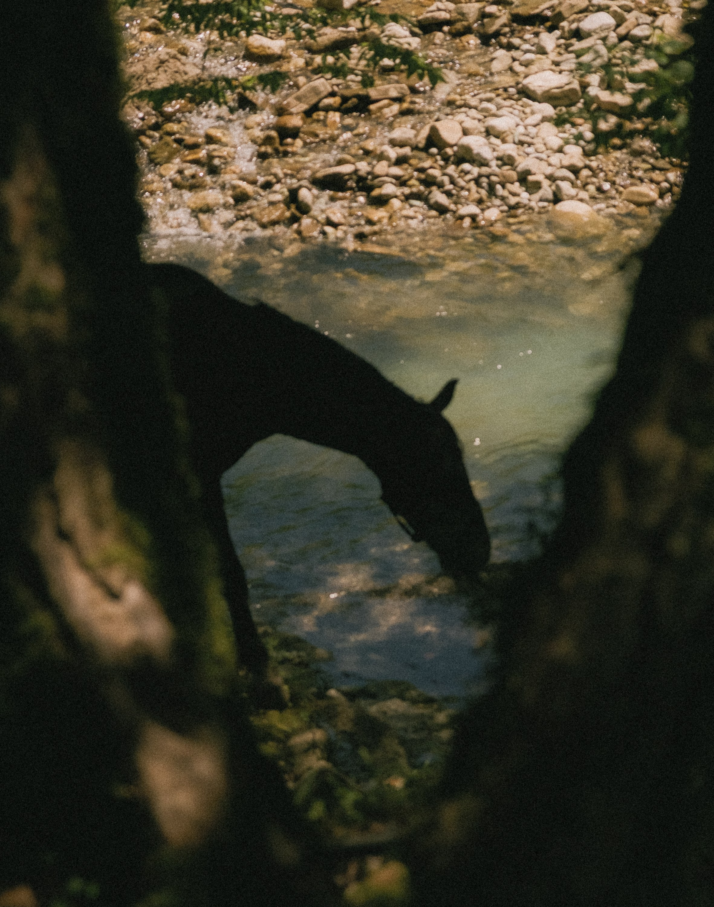 Одно целое. Семейный и свадебный фотограф в Краснодаре