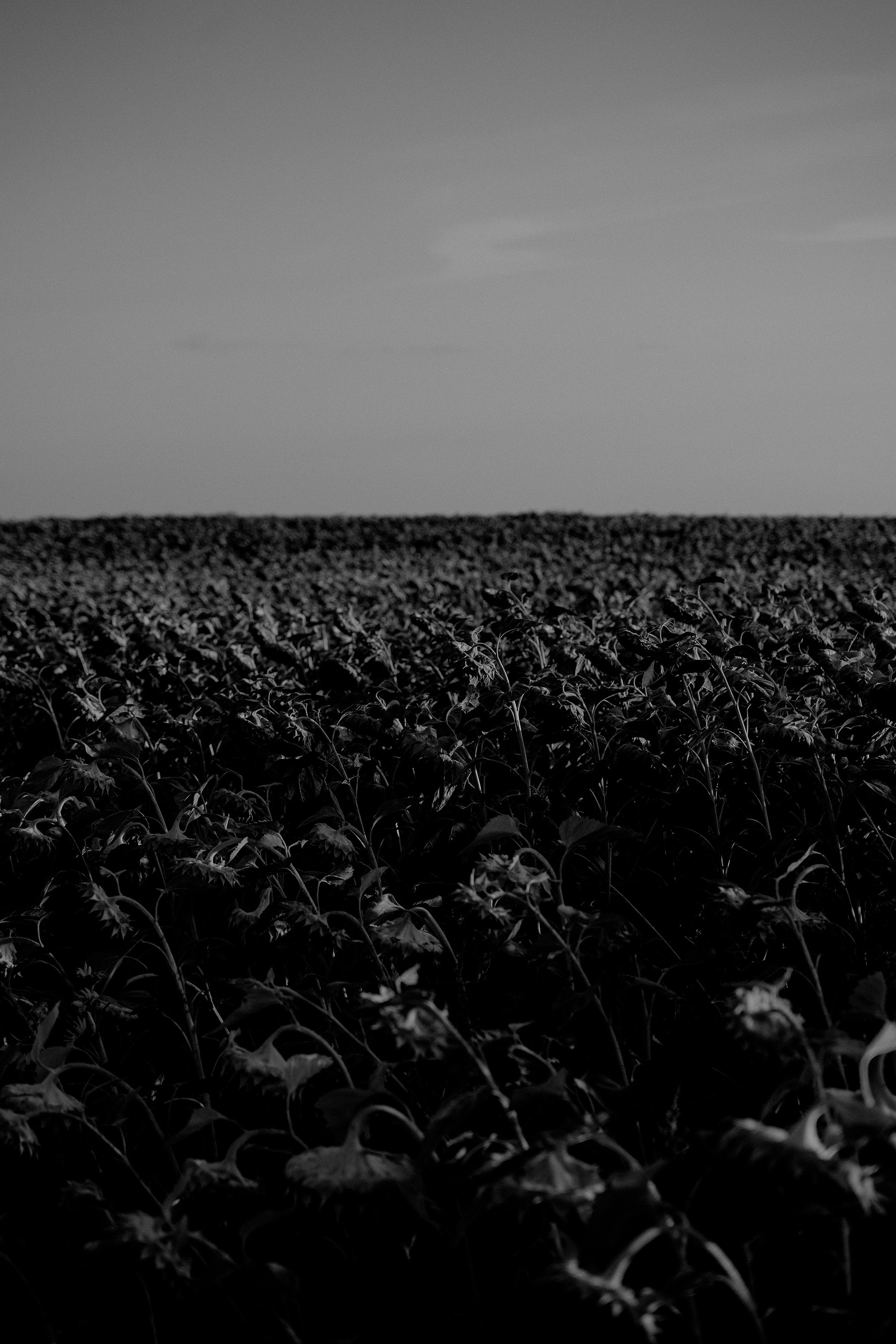 Чинтамани. Фотограф на мероприятие