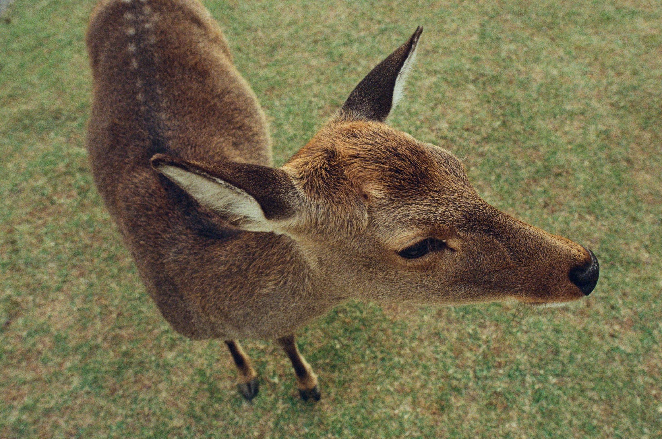 Out of noise // japan, kyoto IV. EVER EXPOSED
