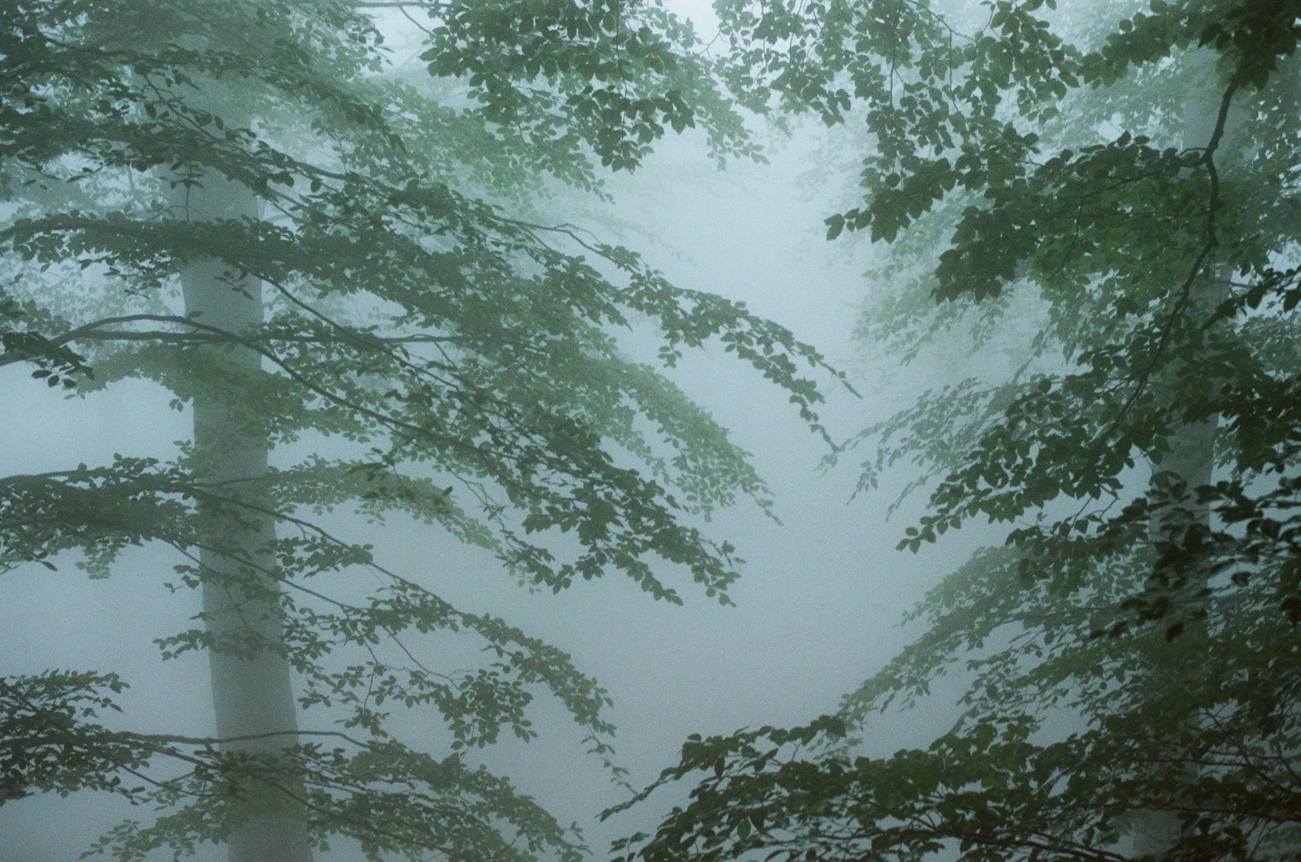 Dig it // ukraine, crimea. EVER EXPOSED